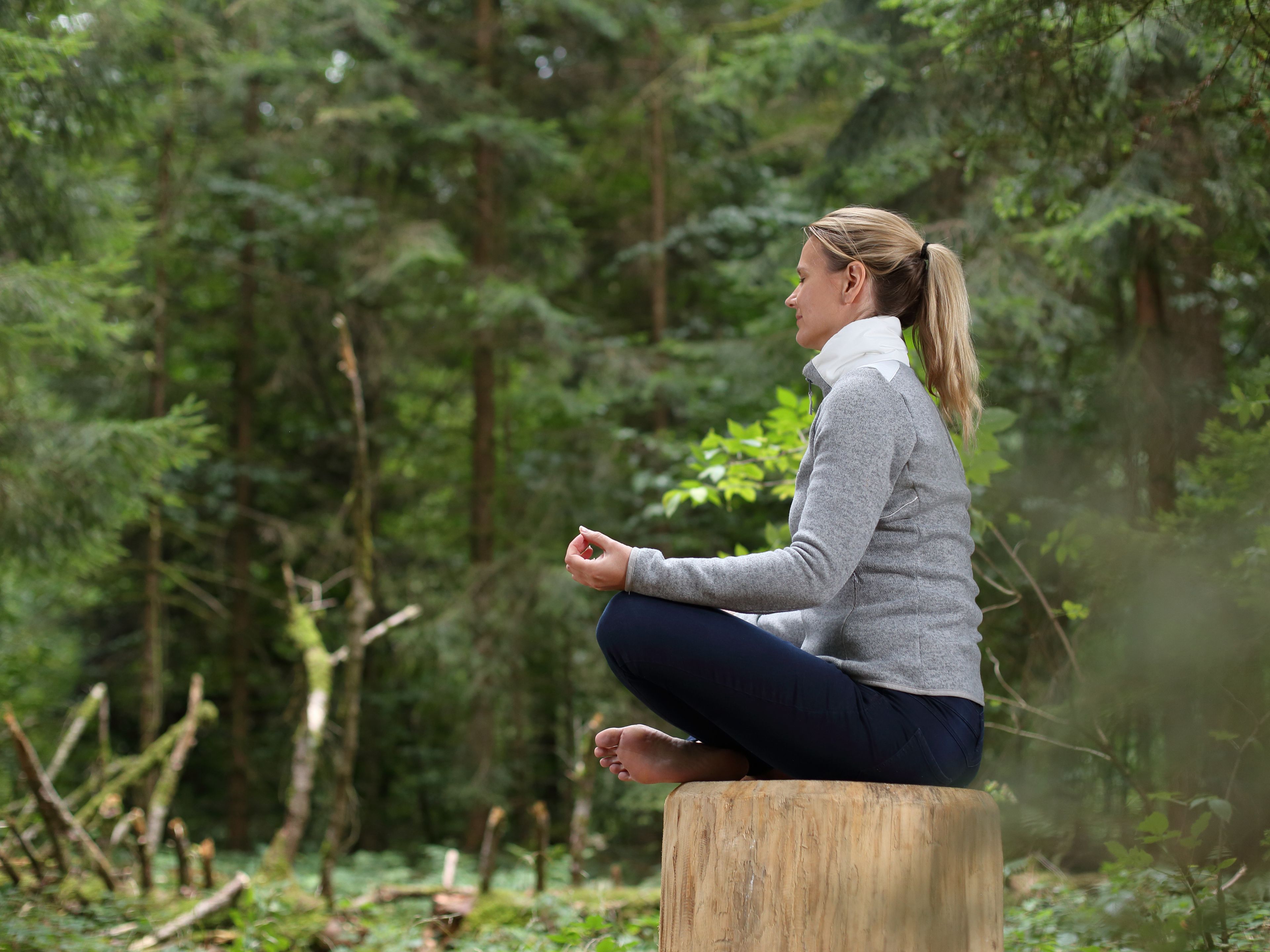 Yoga & Meditation im Wald
