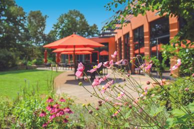 Wellness Erzgebirge