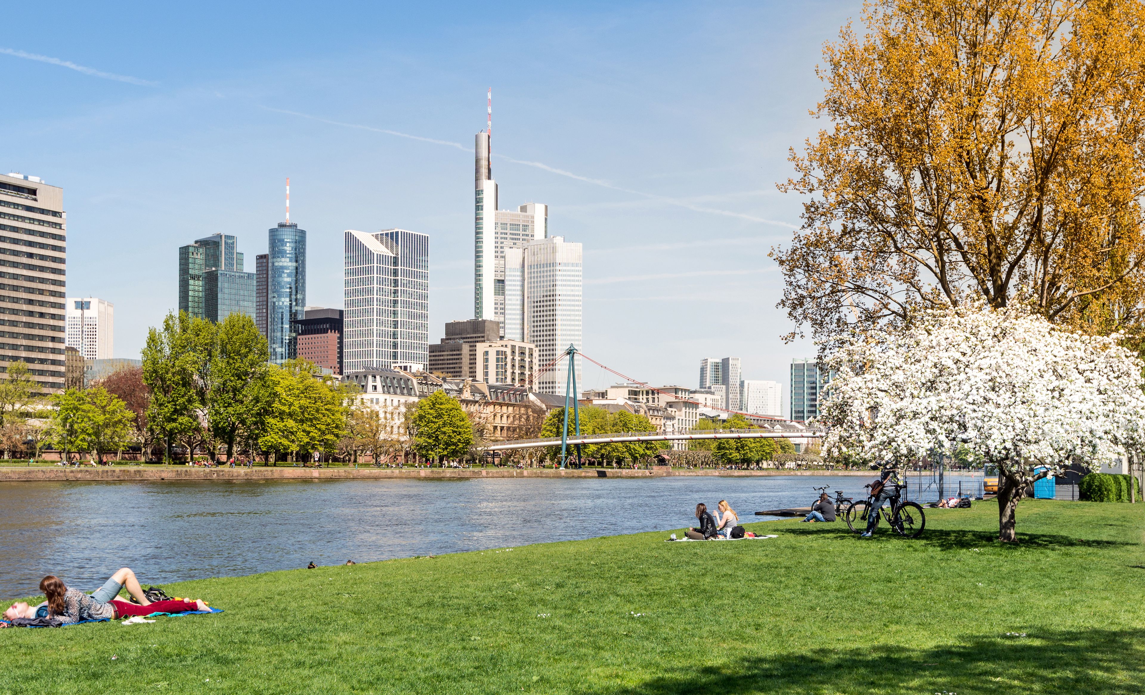 Das Mainufer in Frankfurt im Frühling