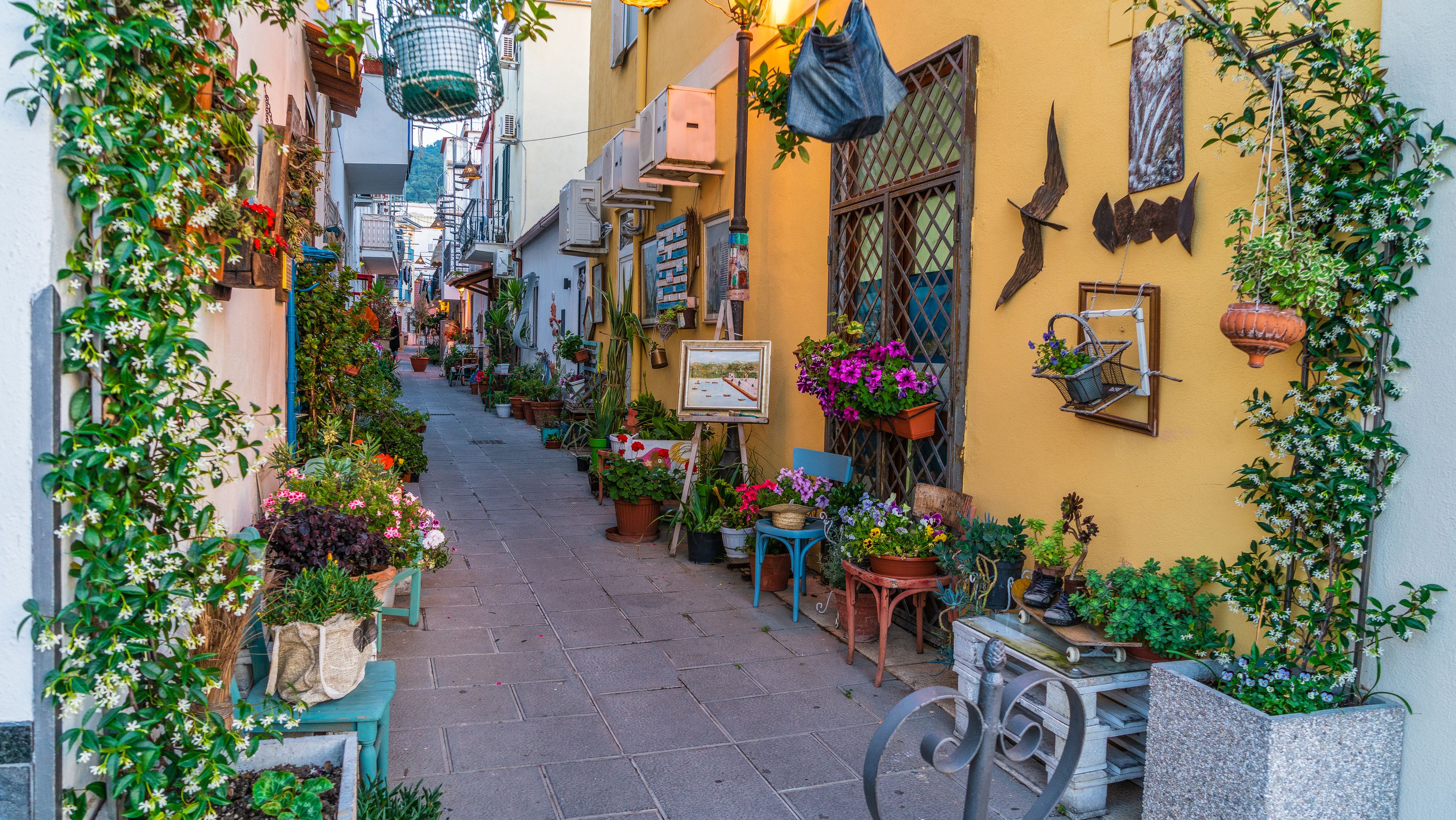 Dekorative Gasse auf Ischia