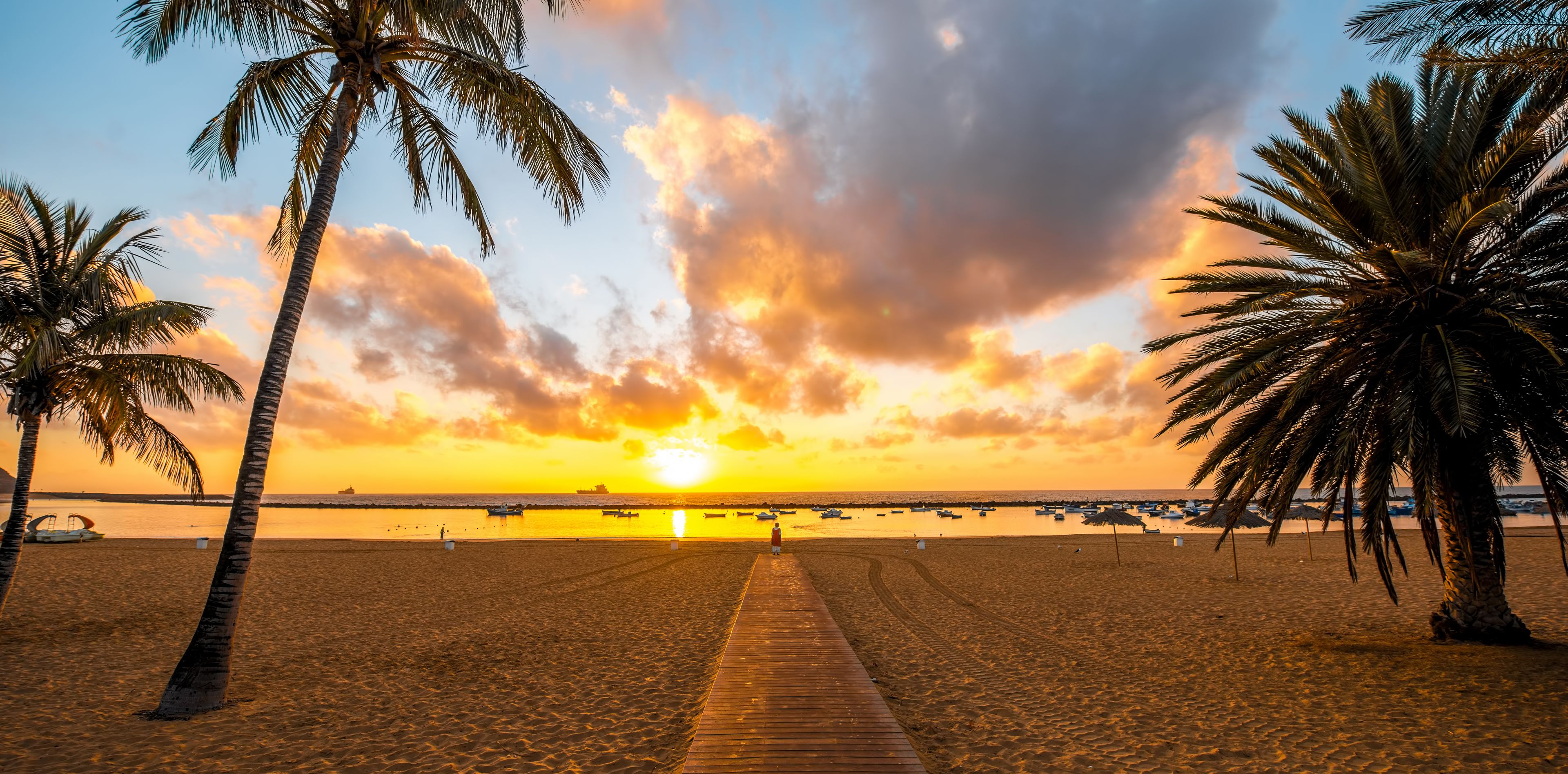 Ein Strand mit Palmen bei Sonnenuntergang