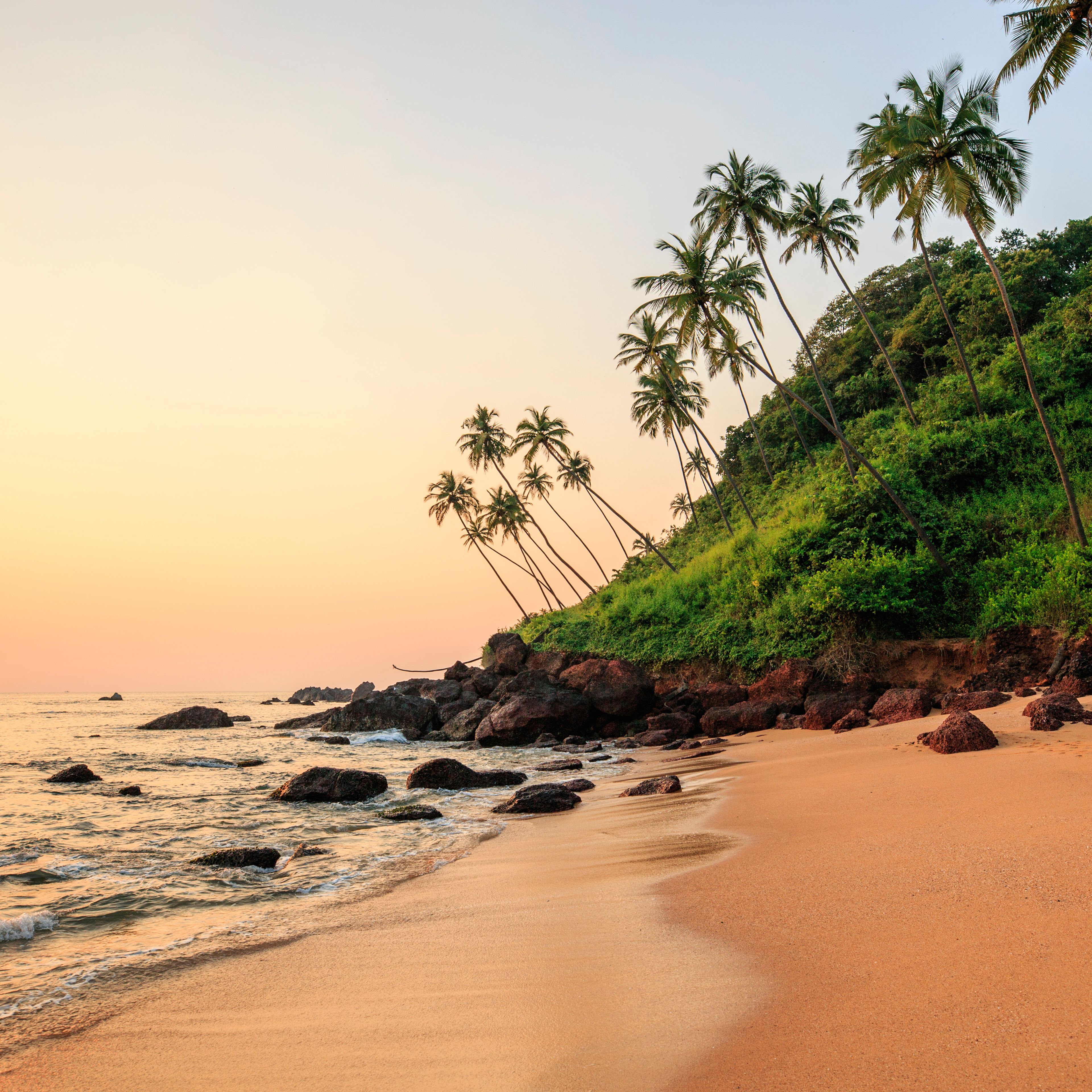 Ayurveda in Goa