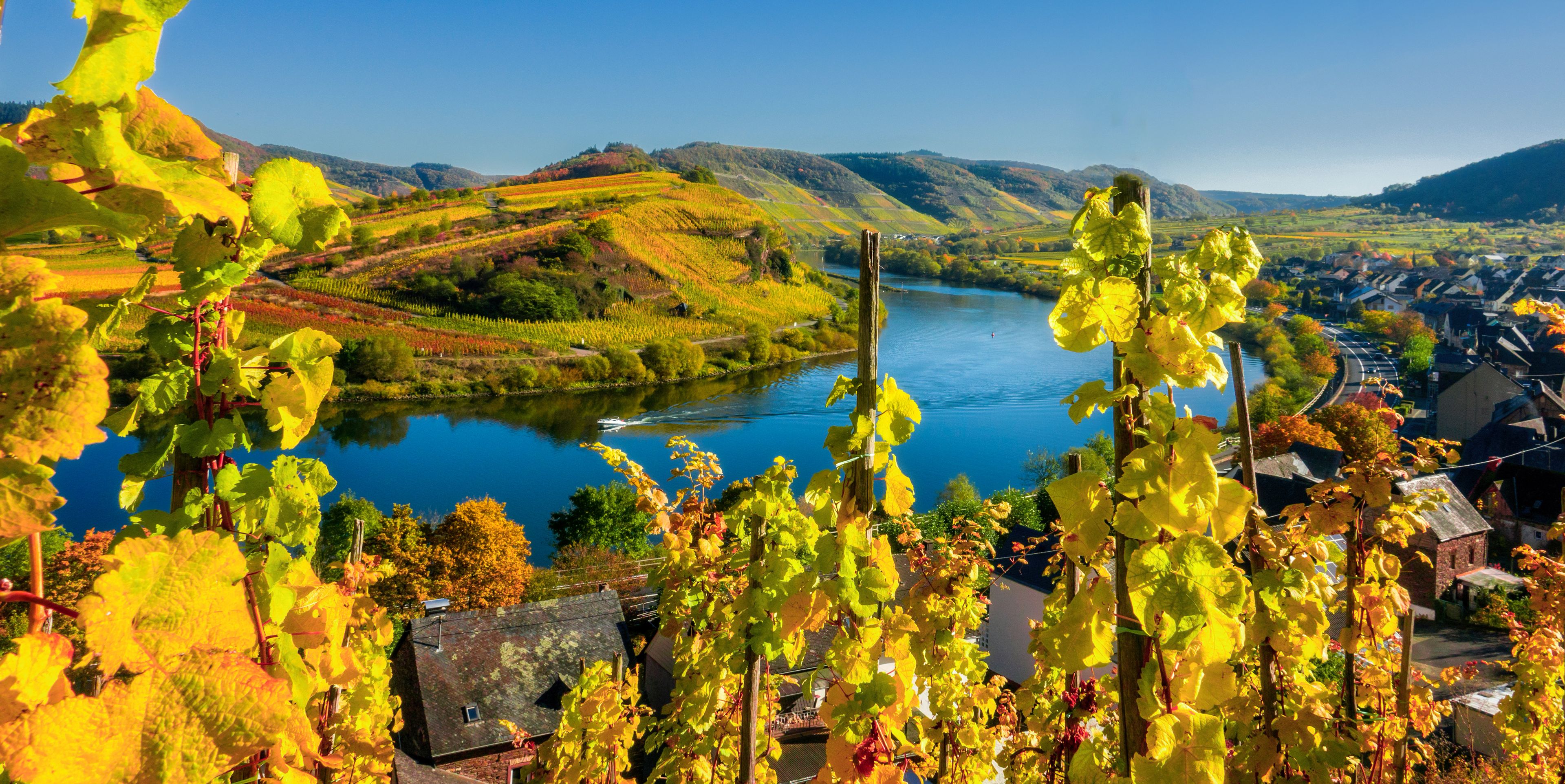 Wijngaarden in de Eifel