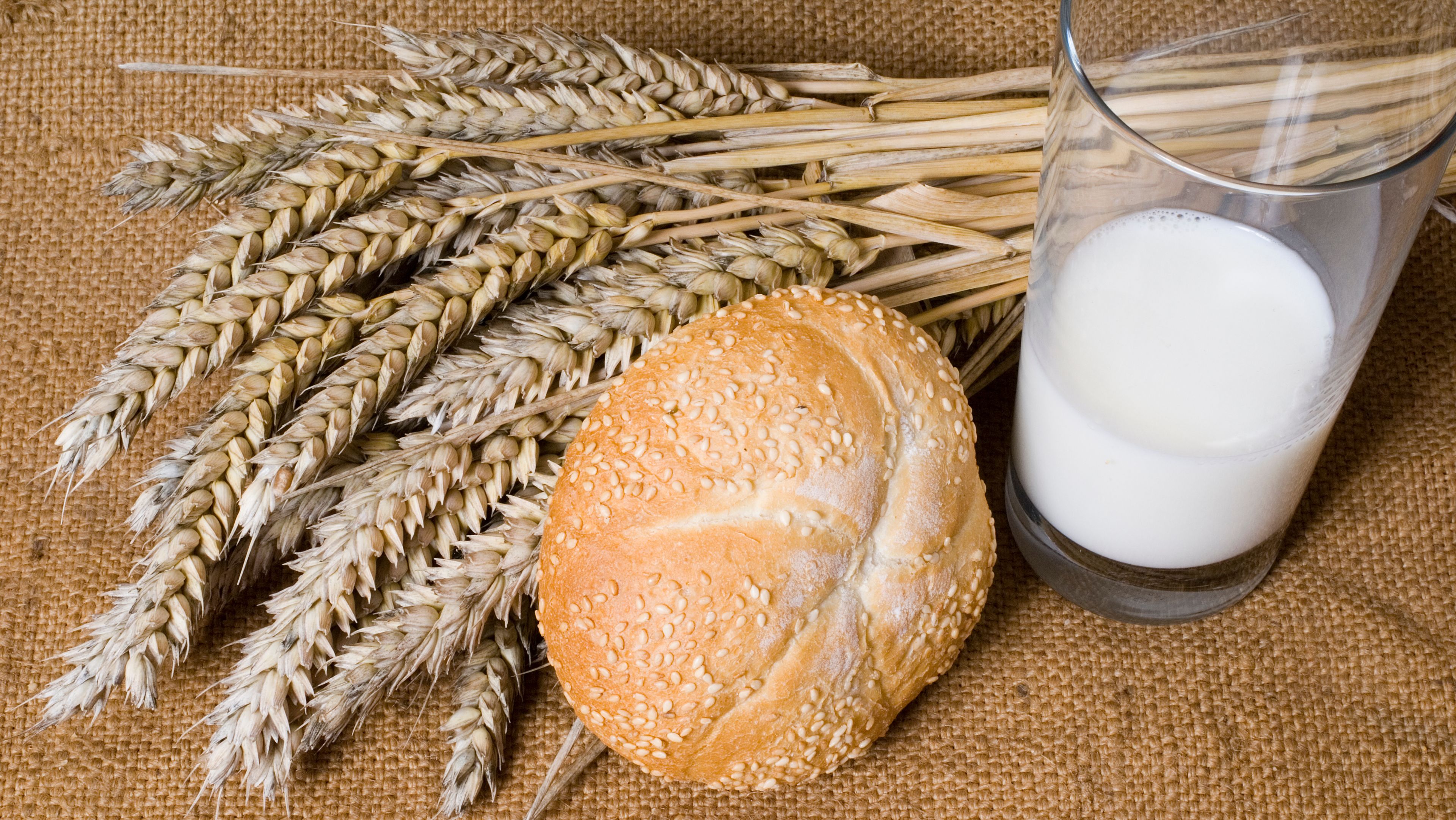 Milch und Semmel