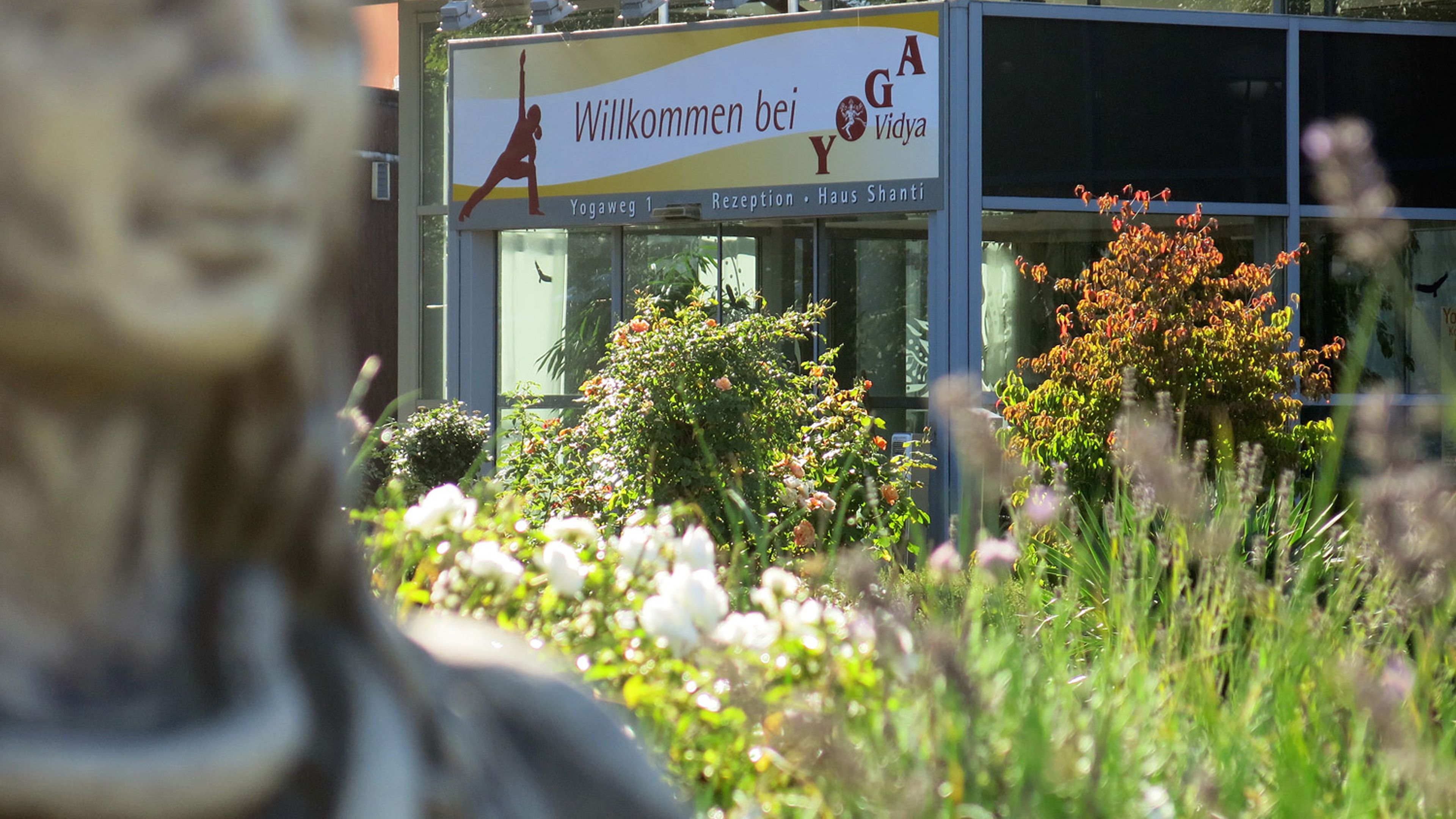 Yogalehrer Ausbildung - Yoga Vidya