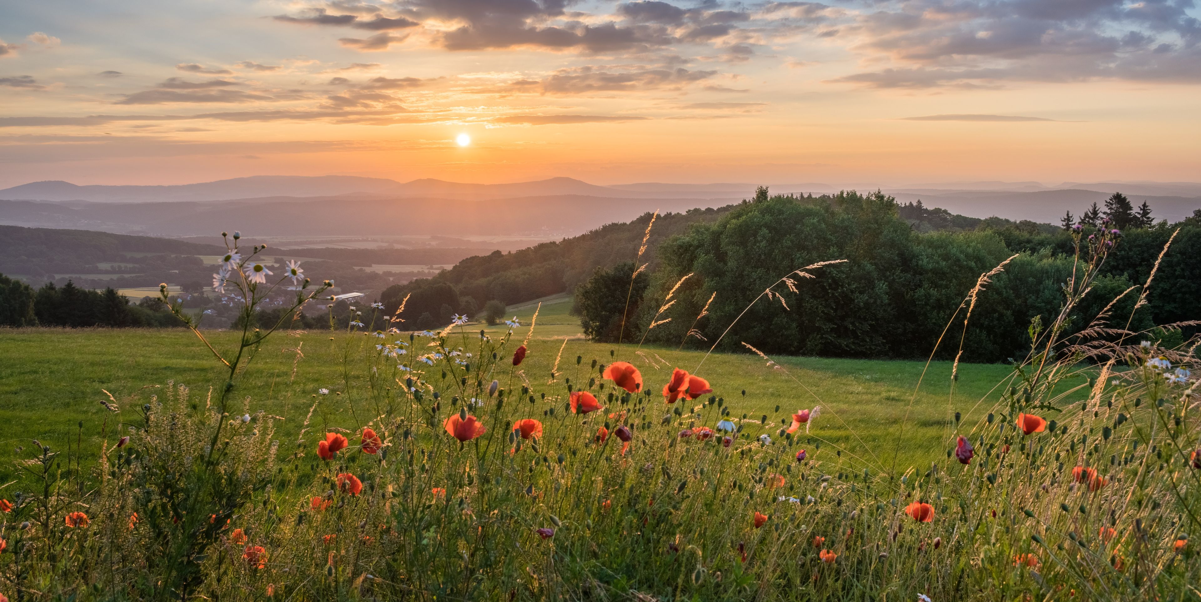 Rhön