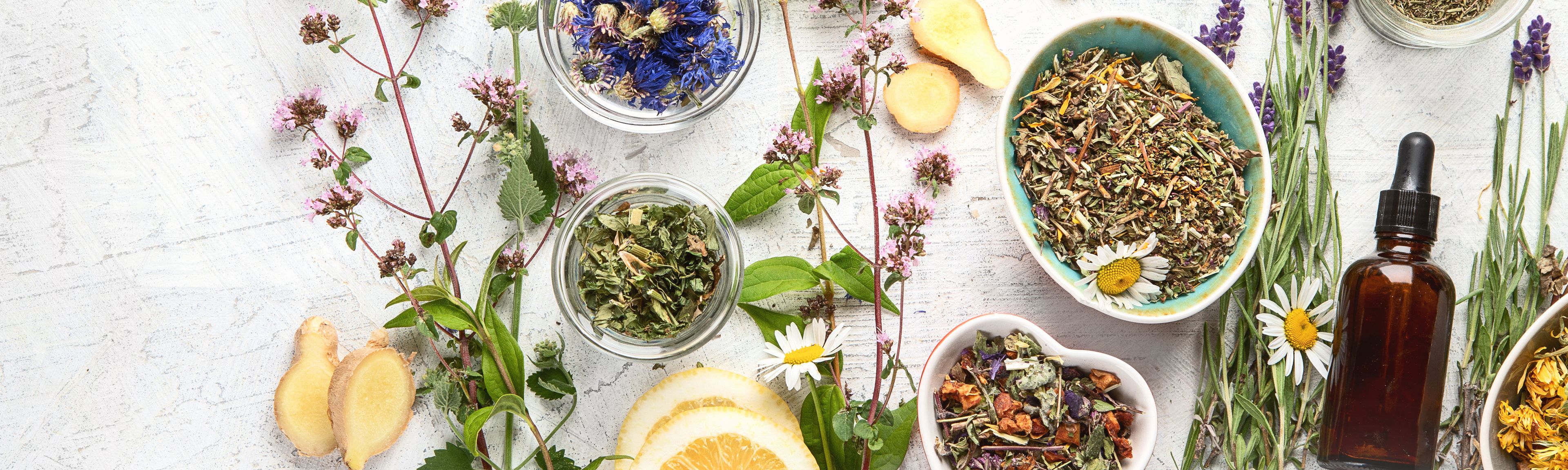 Bio Wellness