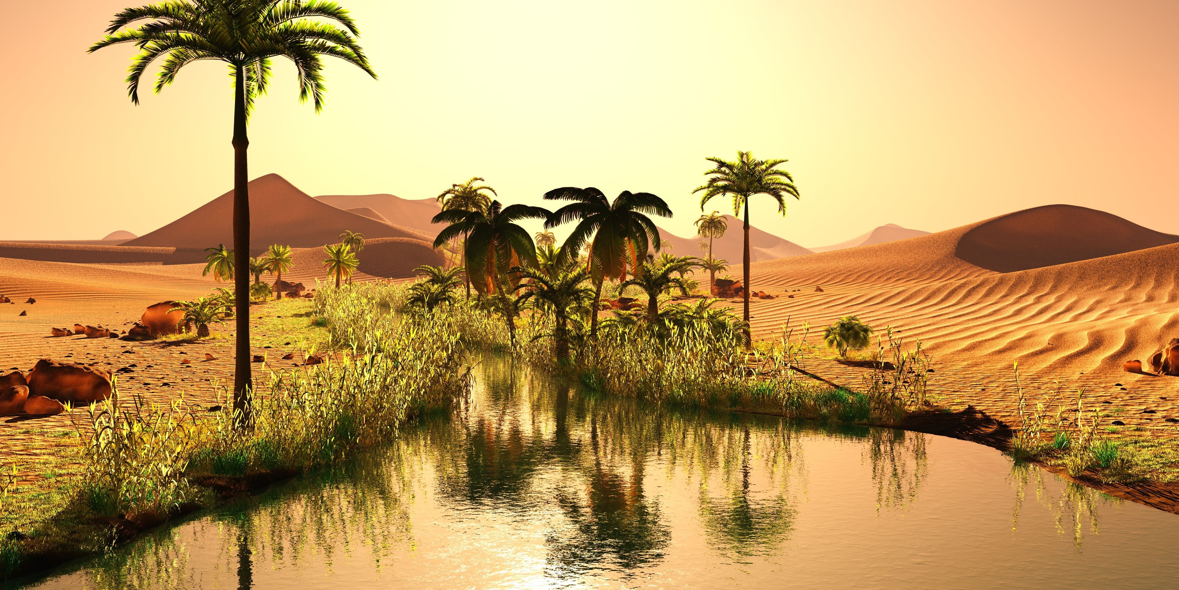 Eine Wüstenlandschaft mit Palmen und einem See