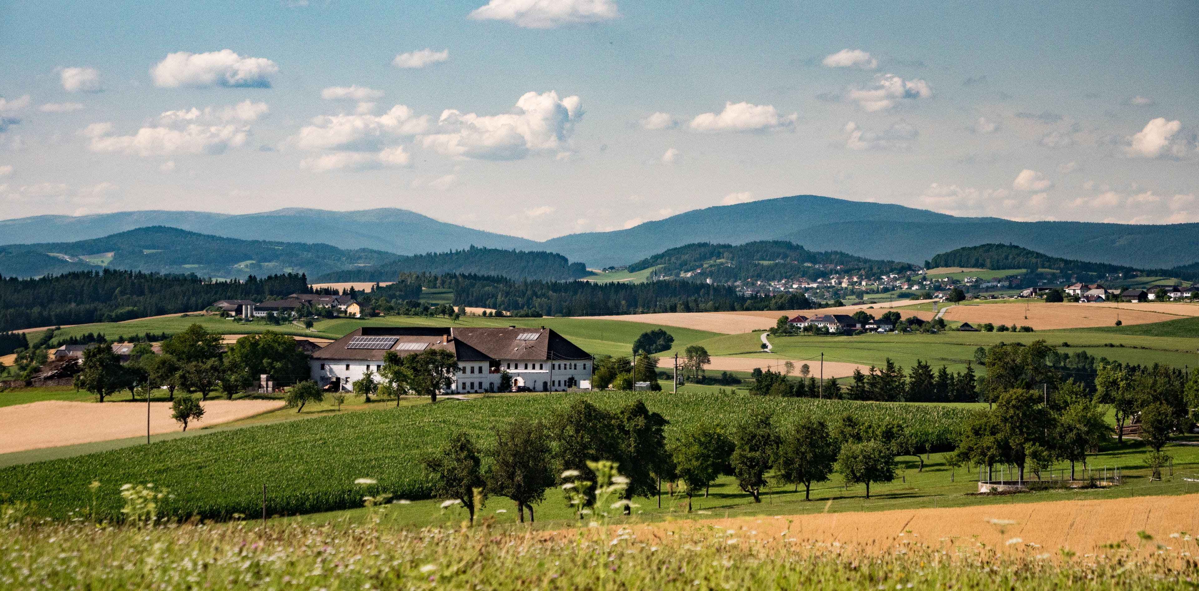 Landschaft im Mühlviertel, Oberösterreich