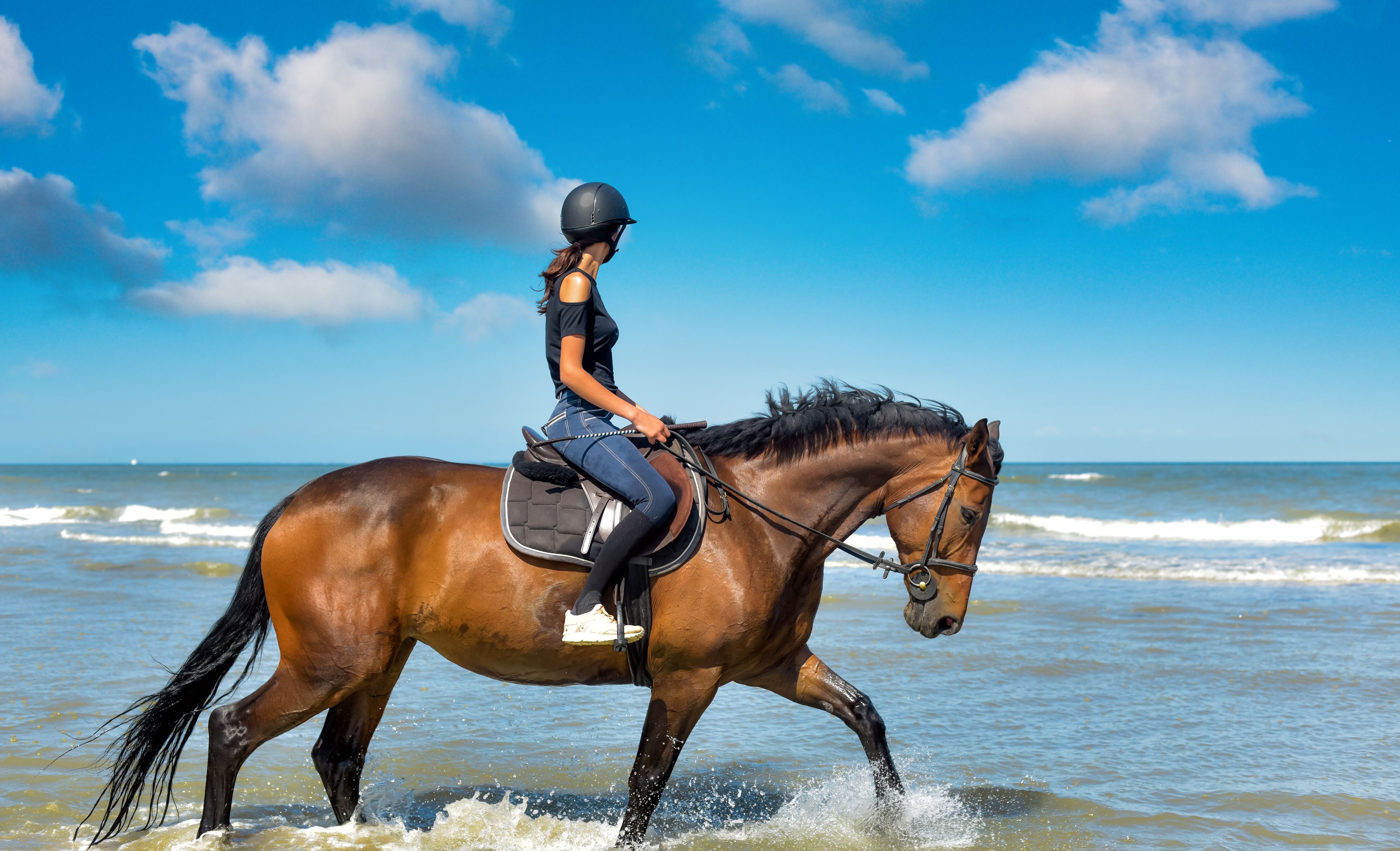 Reiten