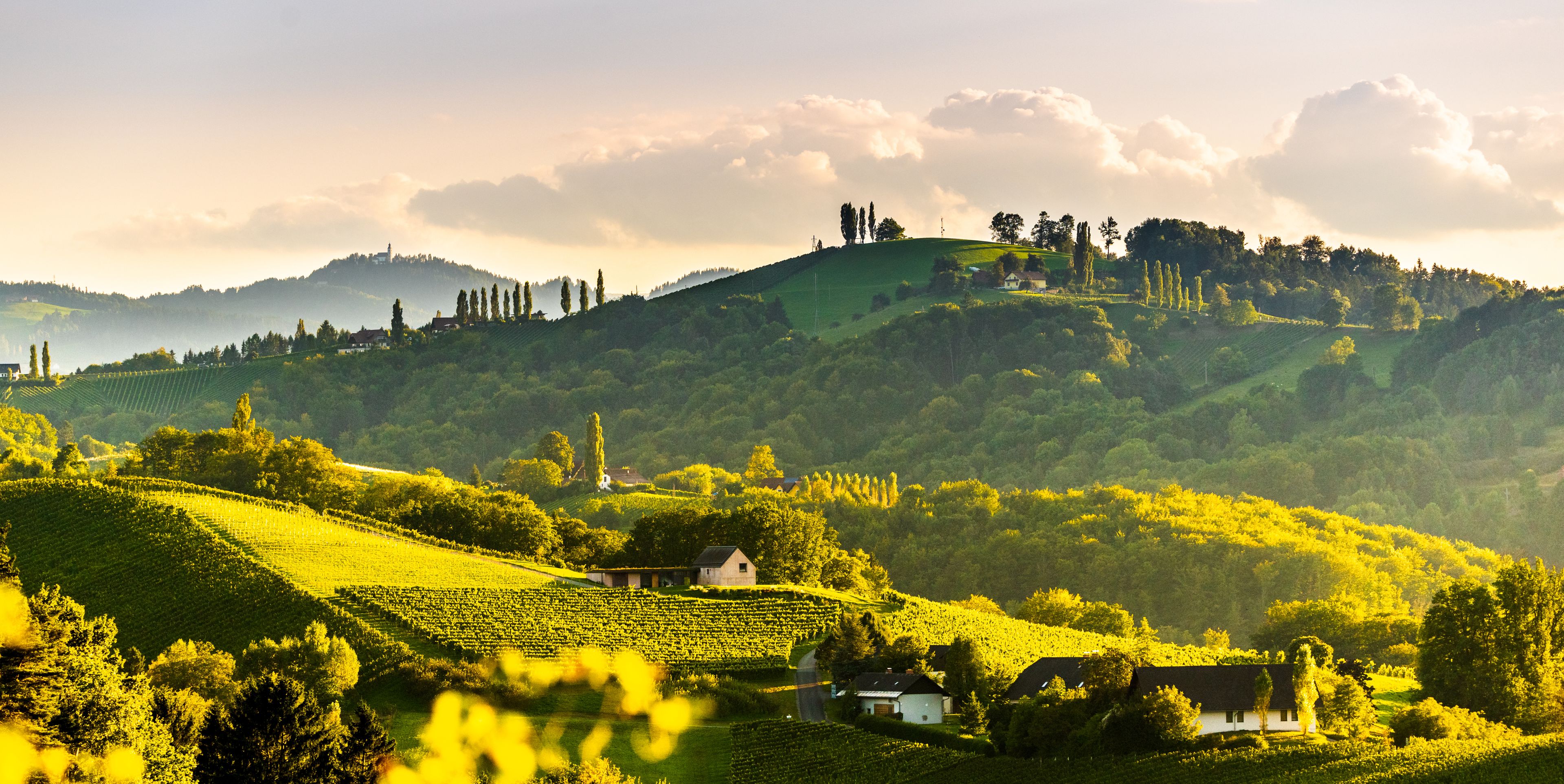 Steiermark