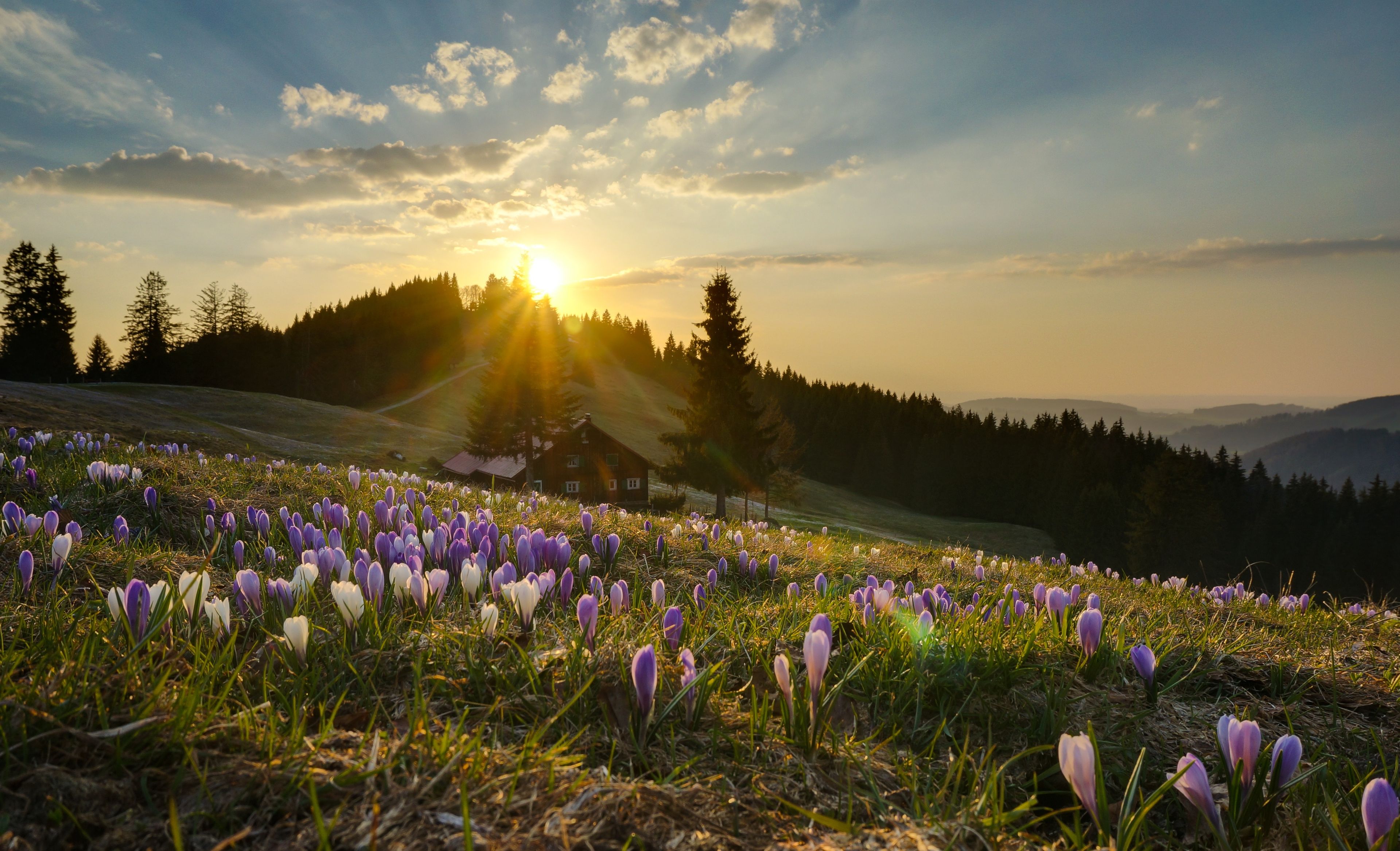 Allgäu