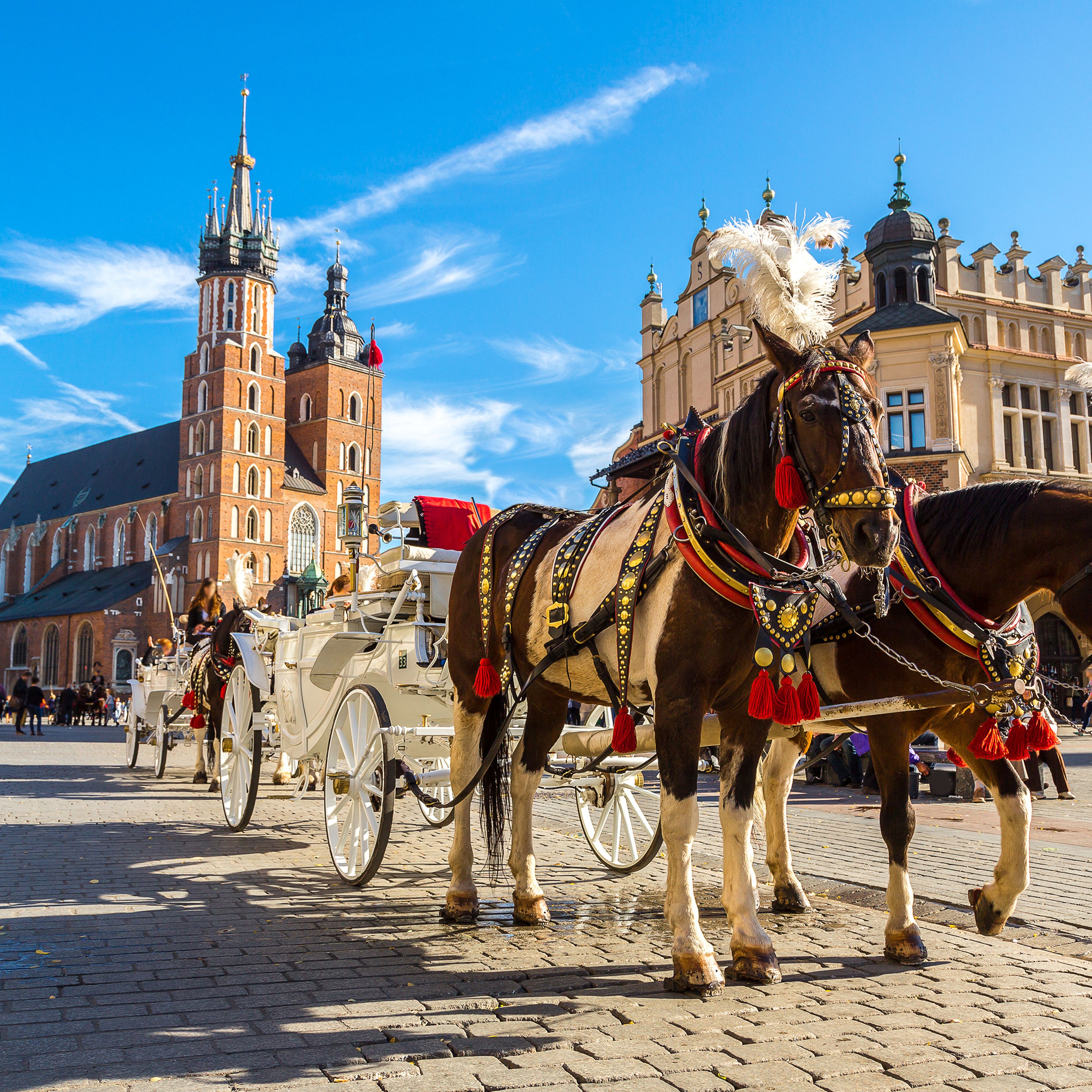 Wellness in Polen