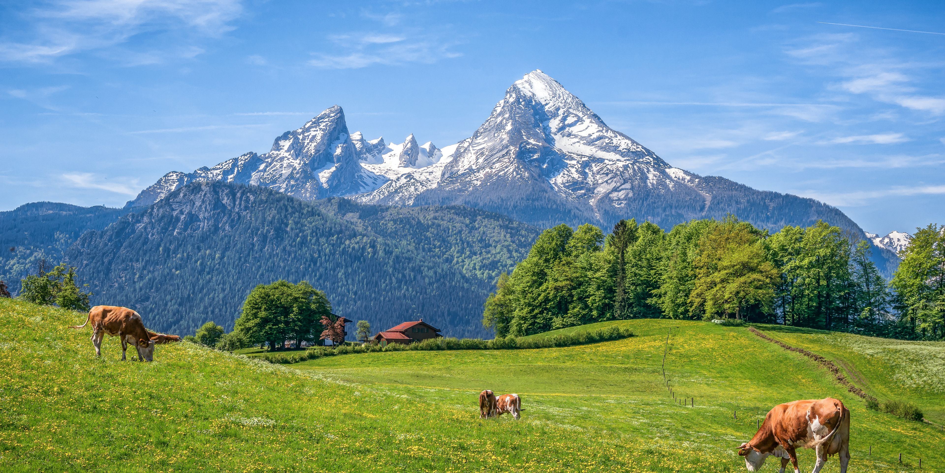 Bayern