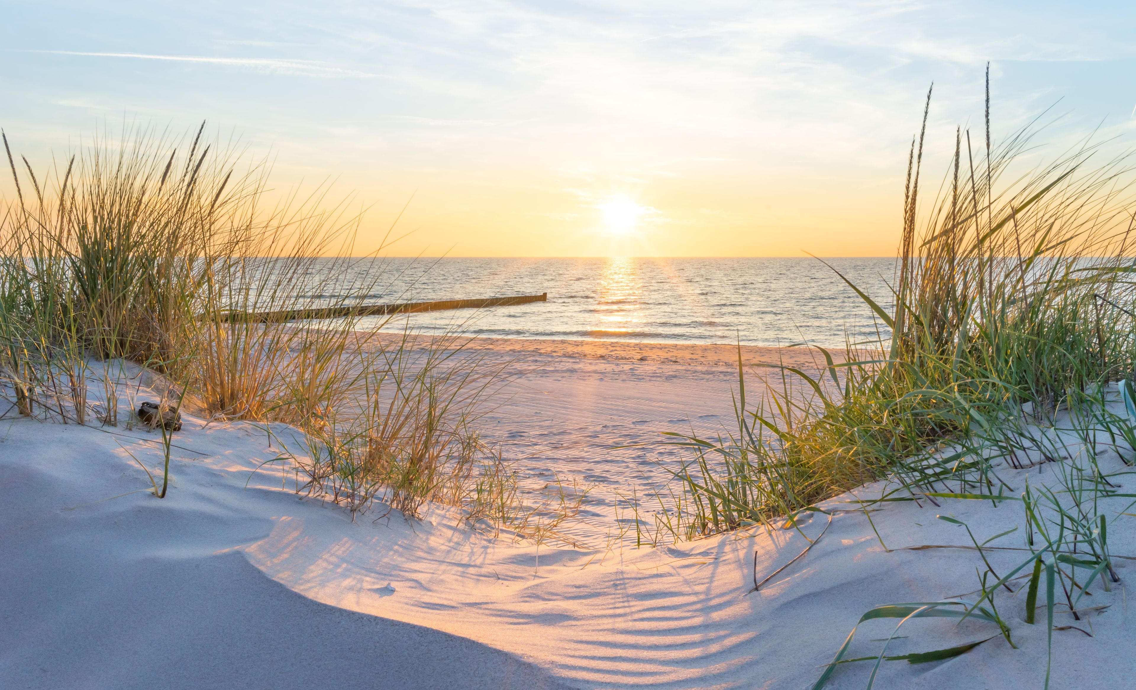 Soleil sur les dunes de la mer Baltique