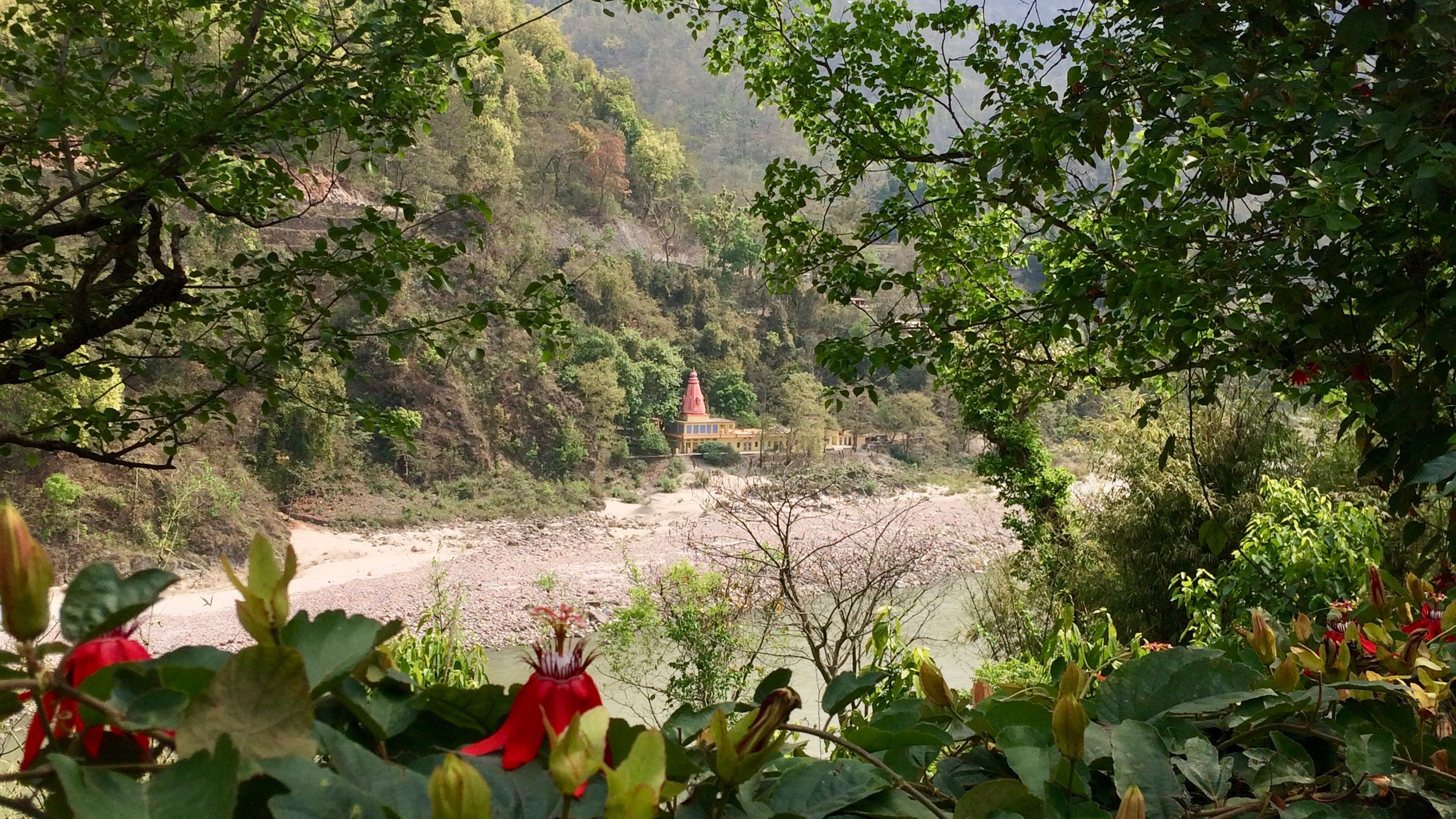 Niramaya Yoga im Anandlok Retreat Center Rishikesh 