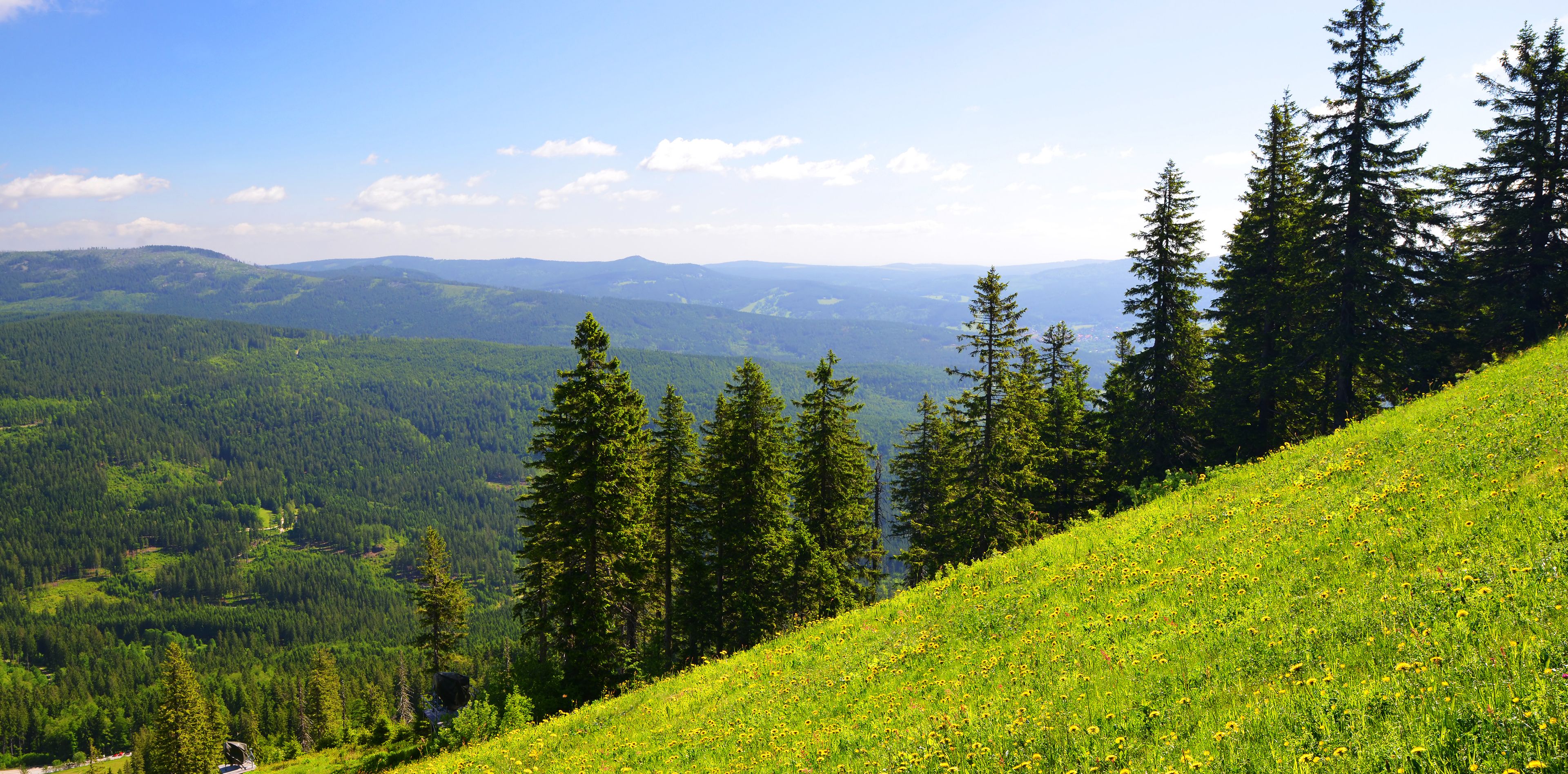 Bayerischer Wald