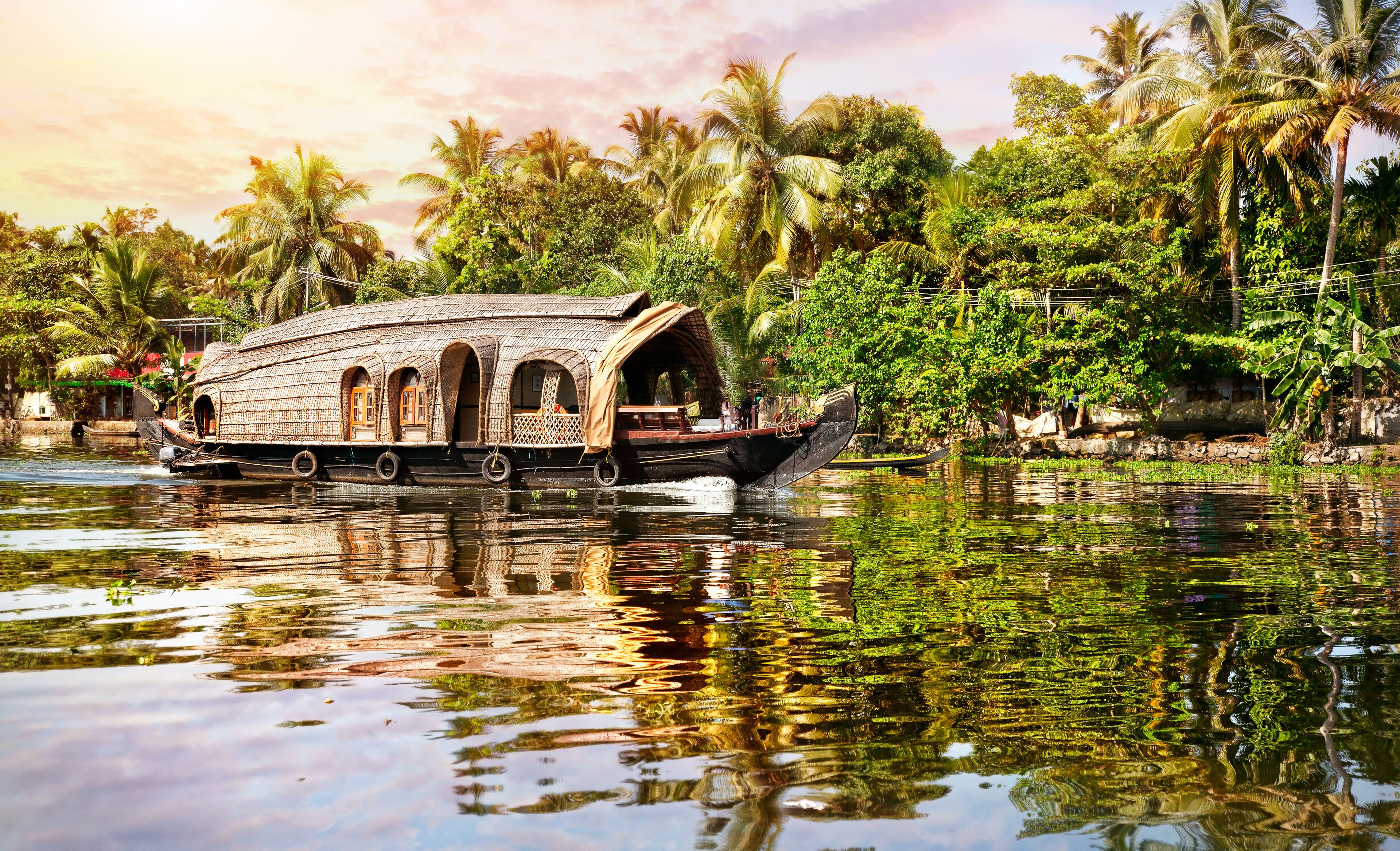 Ayurveda in India
