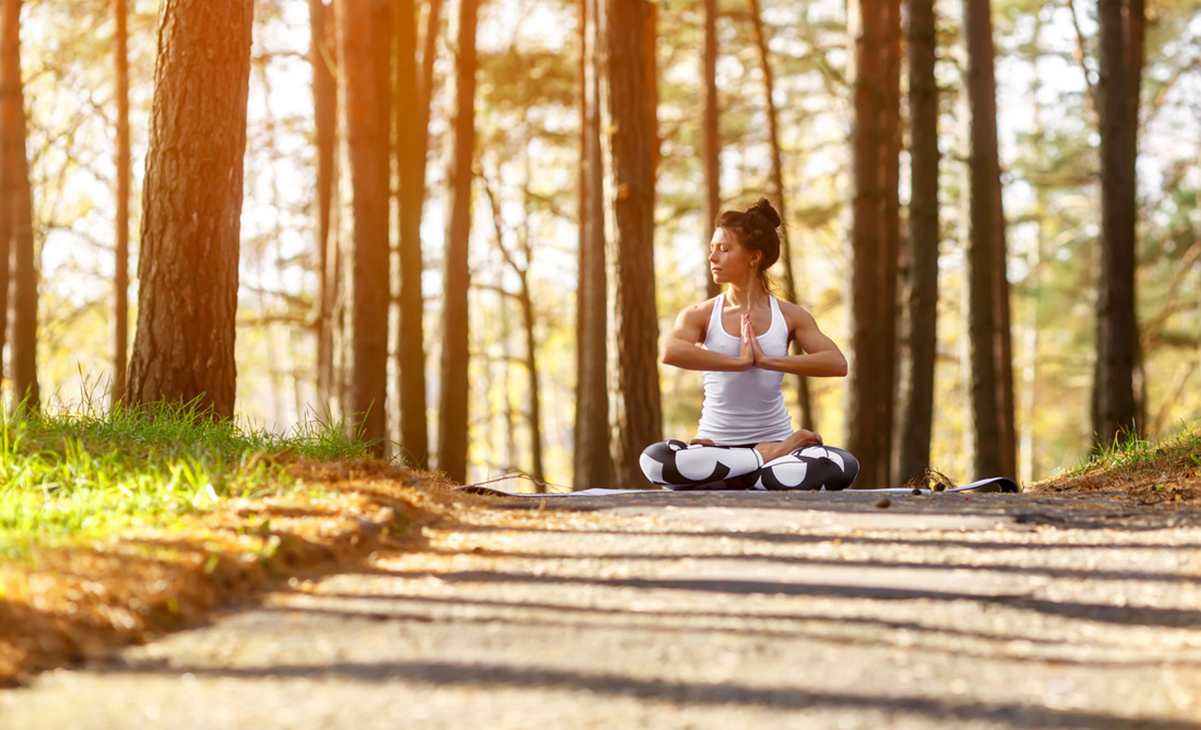 Fasten und Yoga