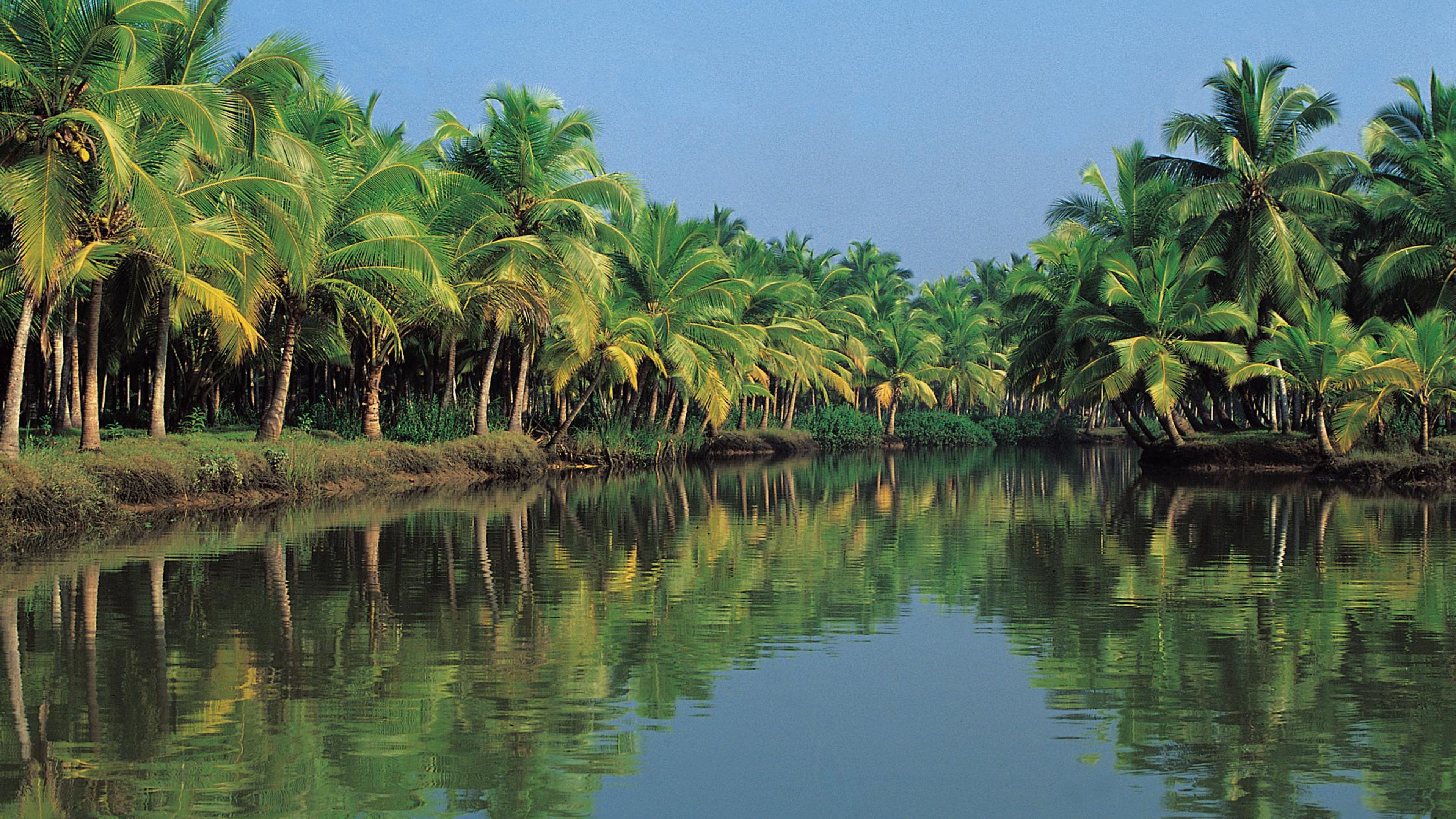 Backwaters Hautnah