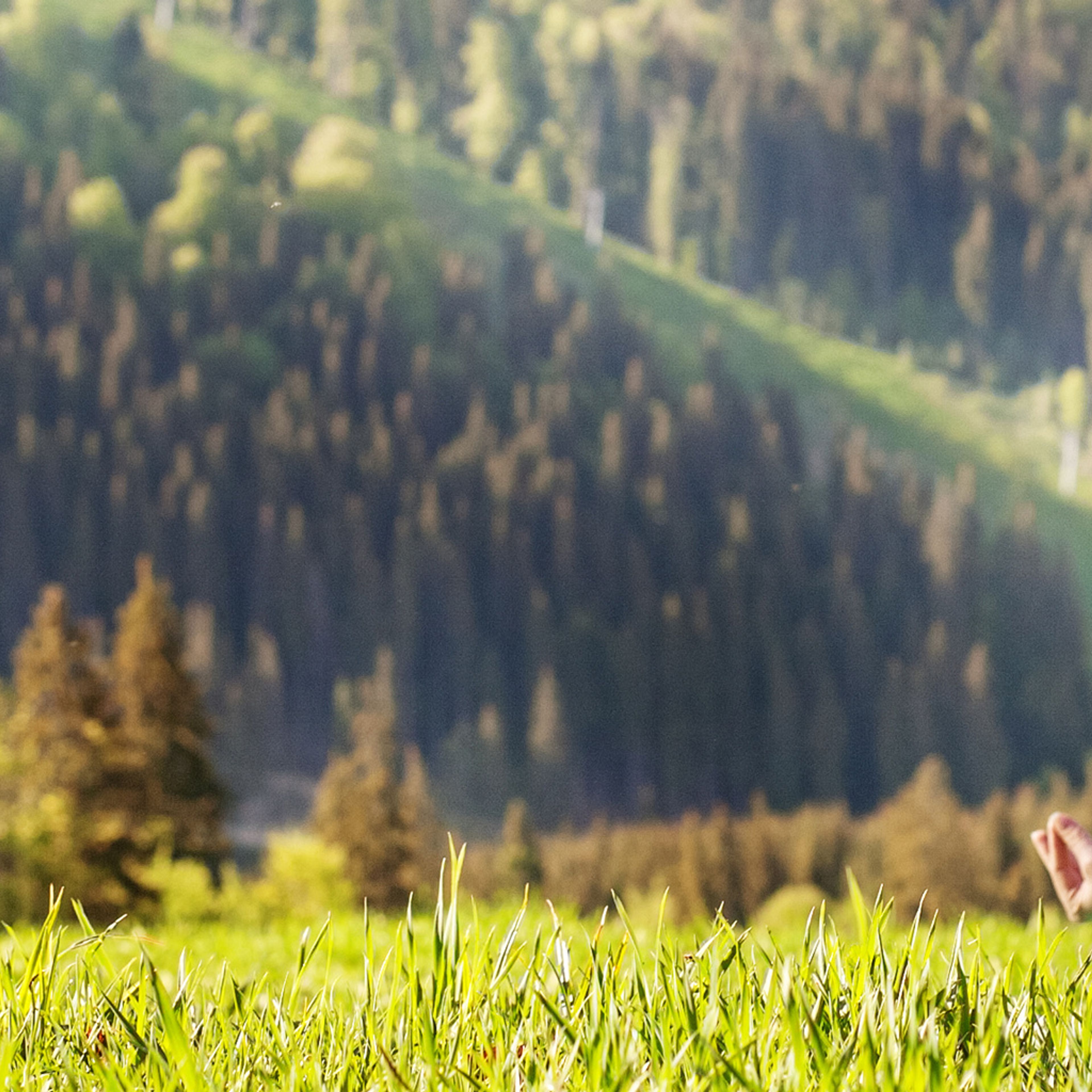 Yoga in Europe