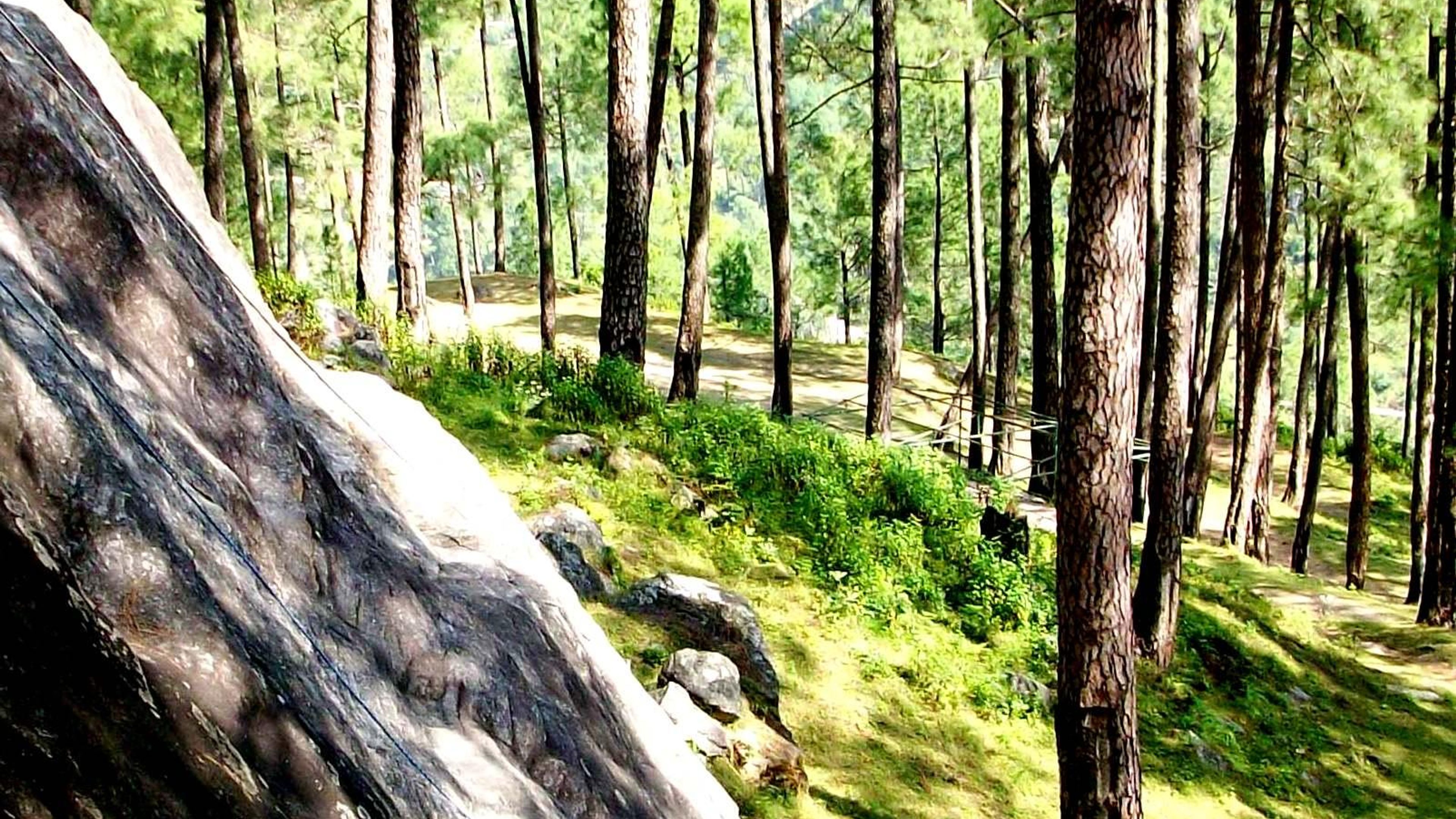 Yoga Rundreise Nordindien