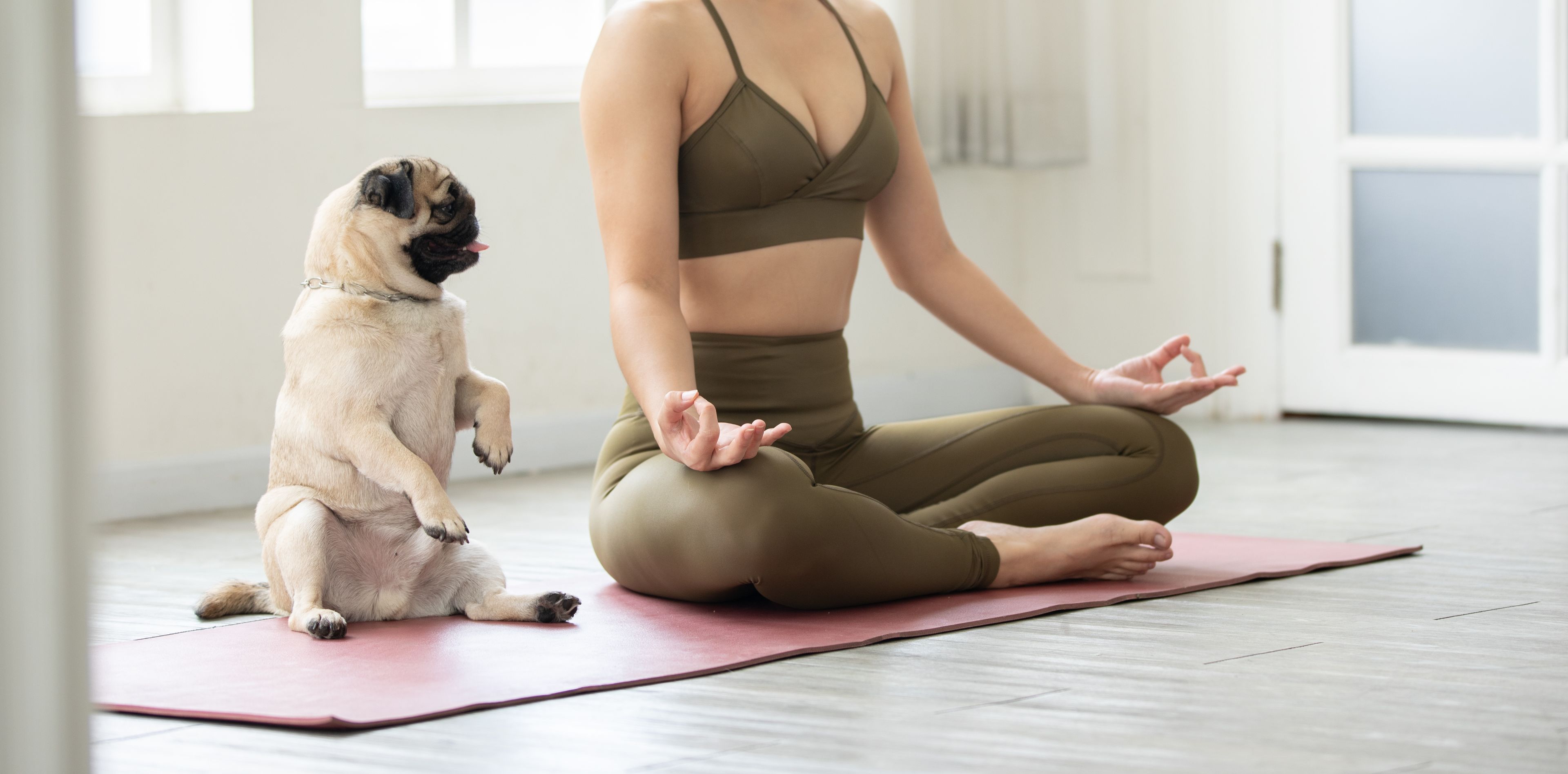 Frau meditiert zusammen mit ihrem Hund