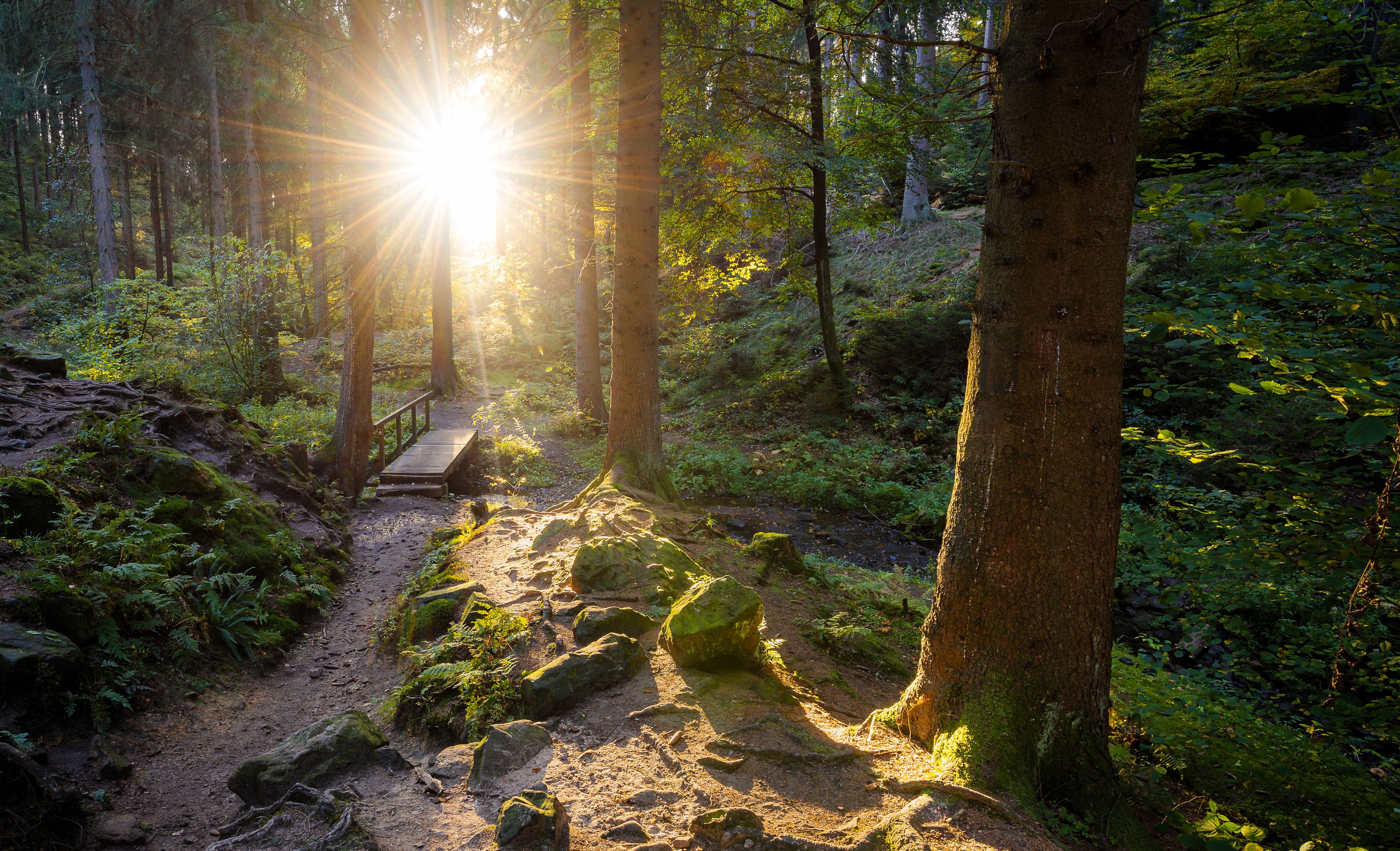 Teutoburger Wald