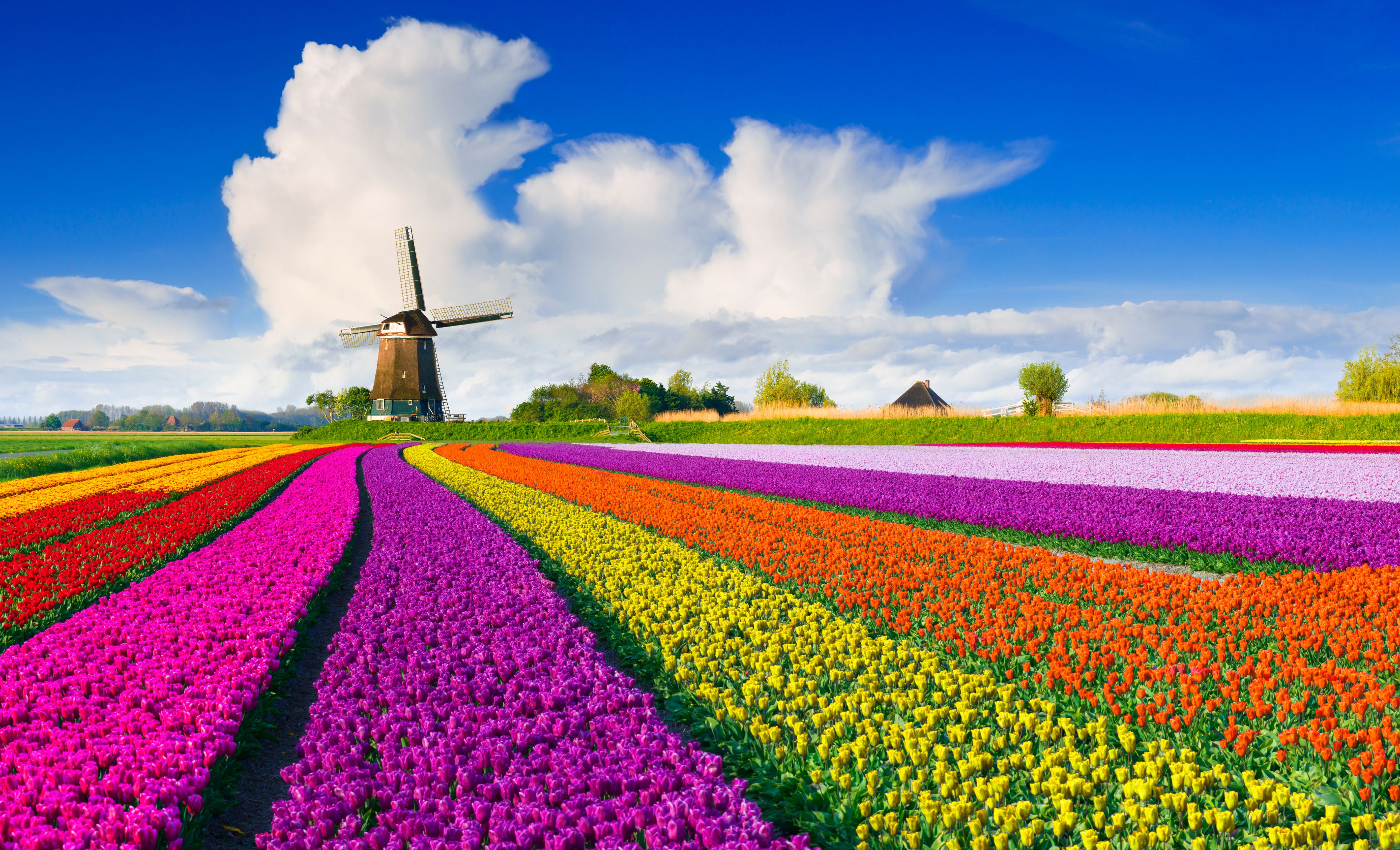 Niederlande