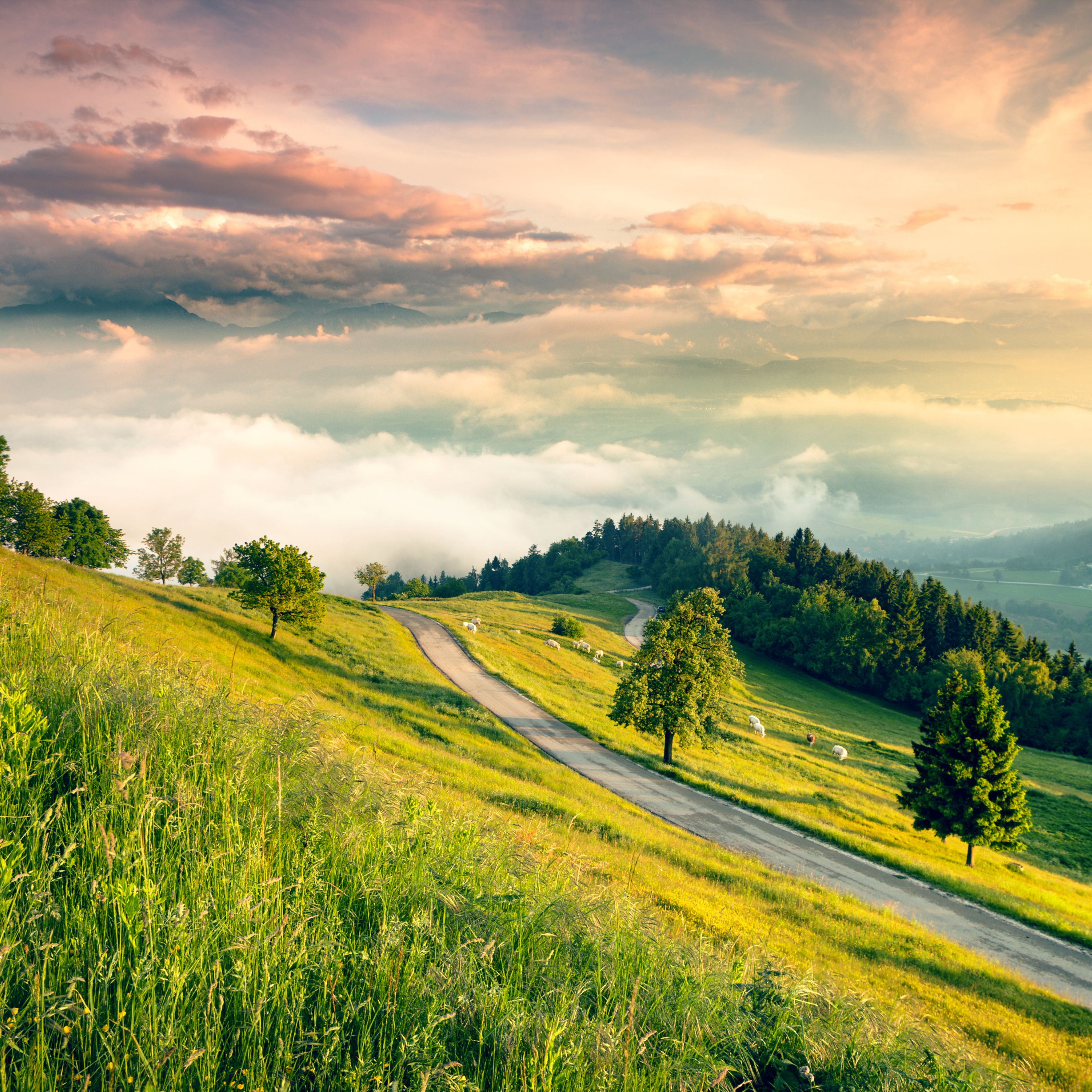 Yoga Wochenende in Österreich