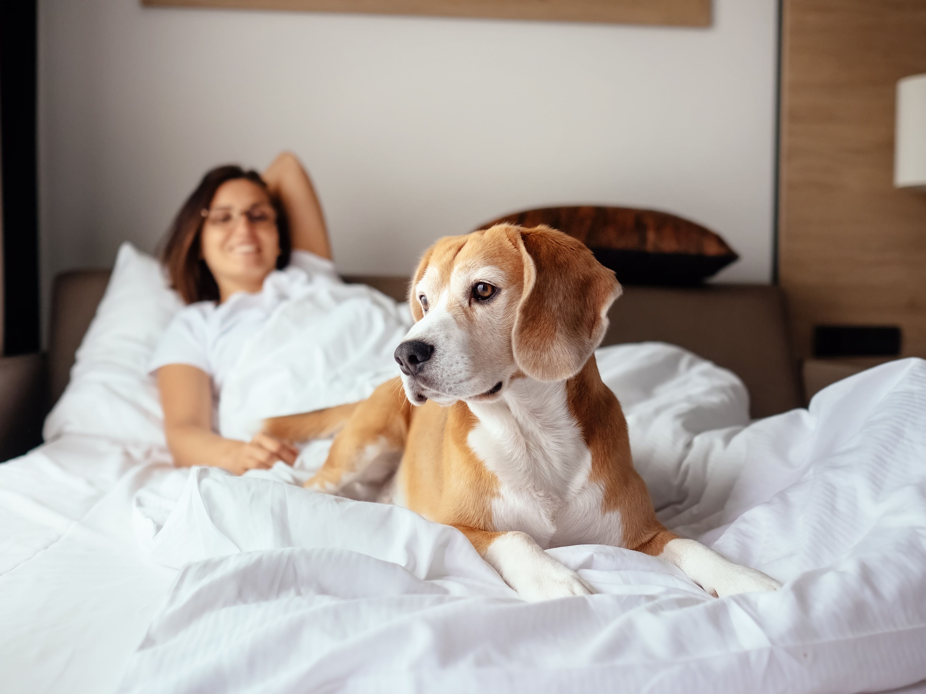 Eine Frau relaxt mit Ihrem Hund im Hotel