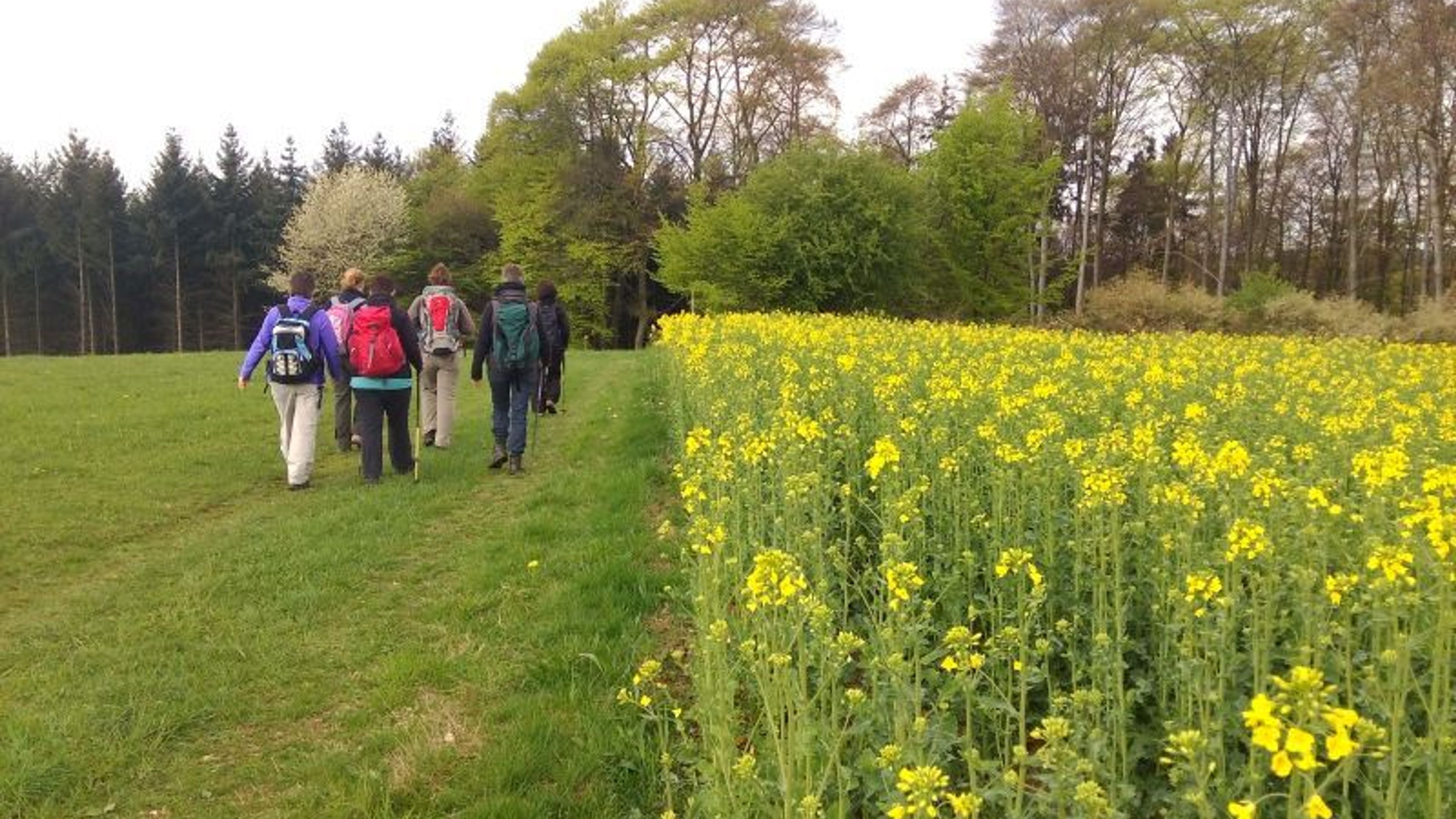 Fasten & Yoga im Kloster Waldbreitenbach
