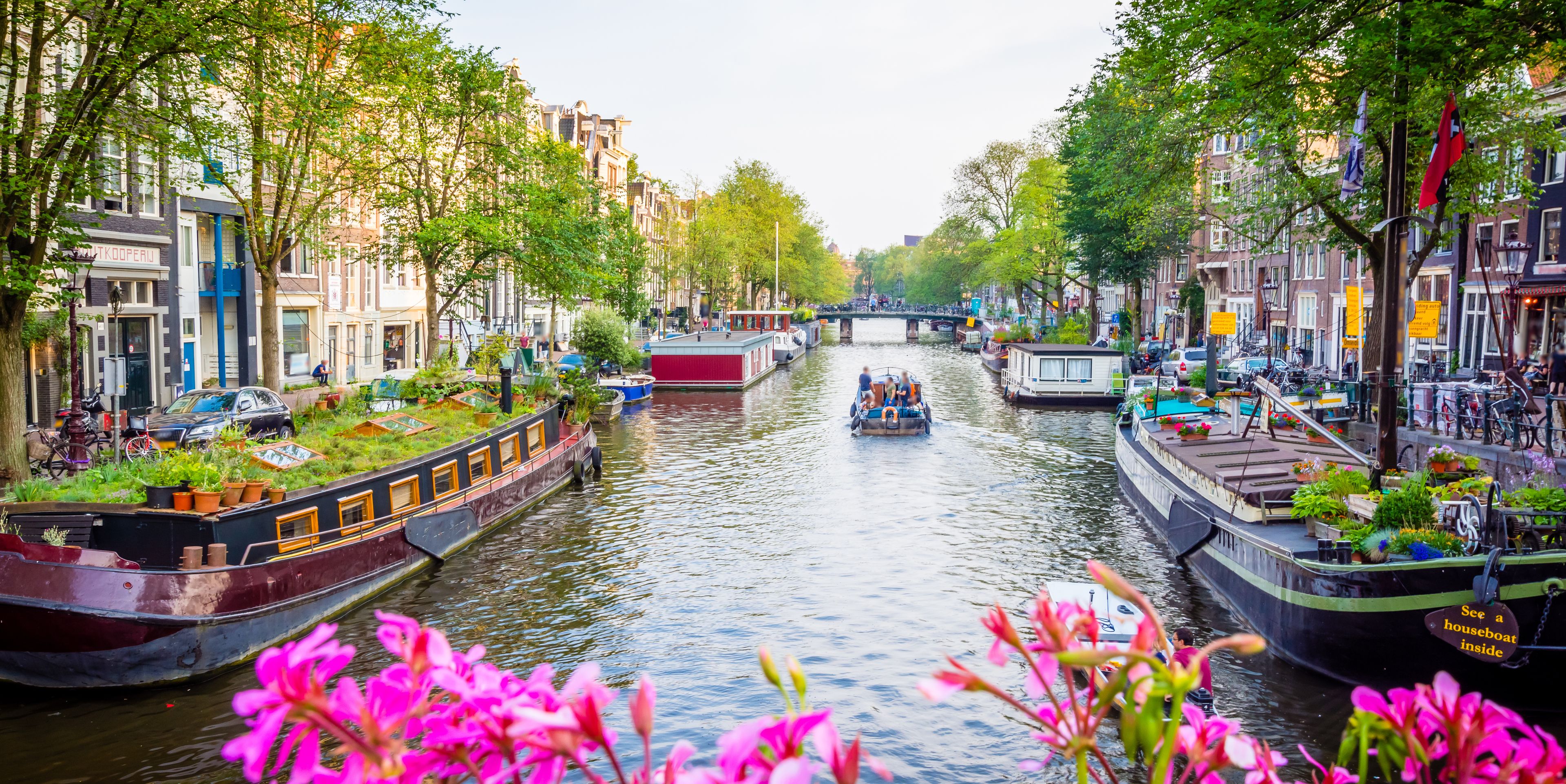Ein Fluss in einer Stadt umgeben von zwei Häuserreihen und blühenden Blumen