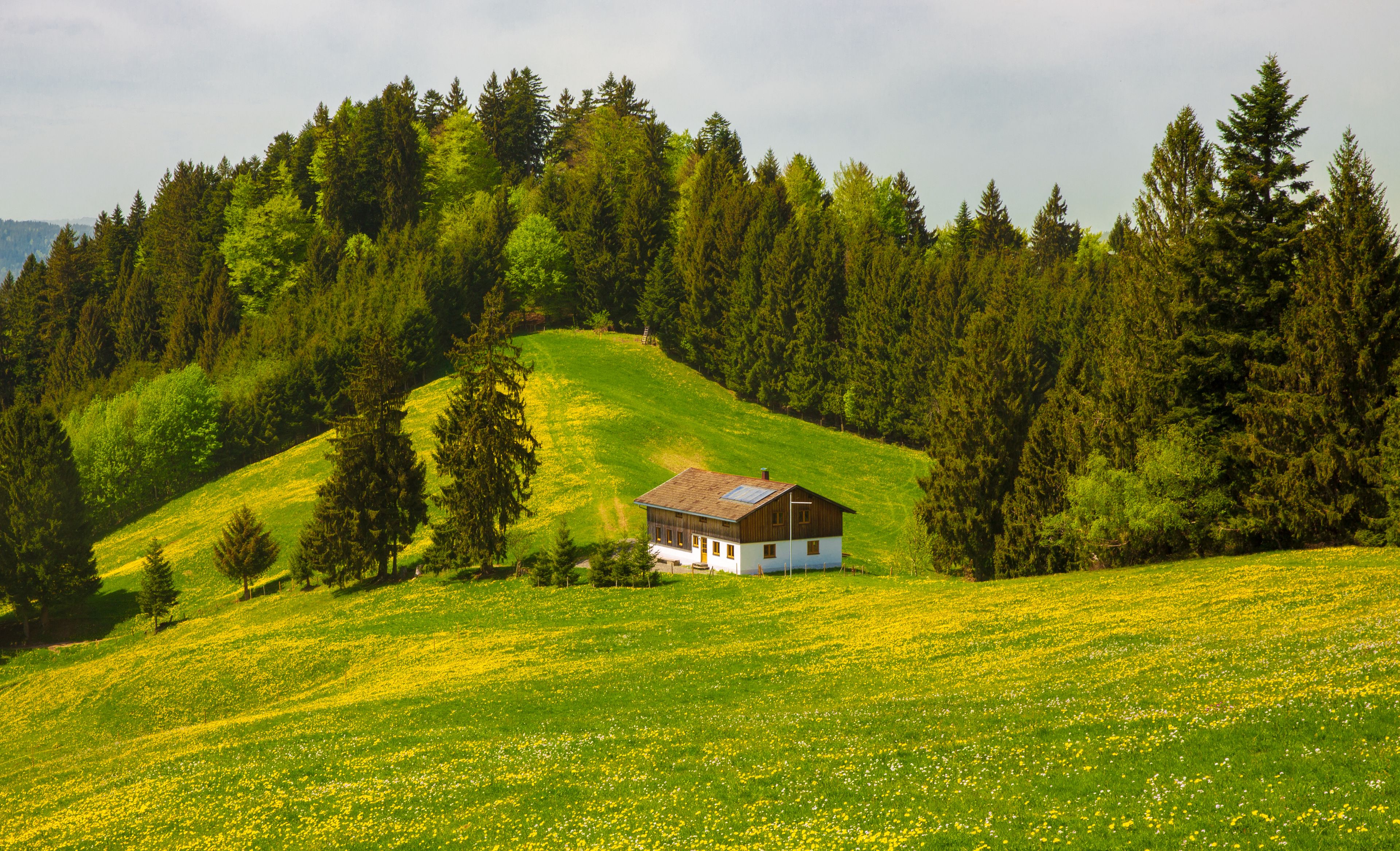 Kleines Häuschen in den Bergen in Oberstaufen