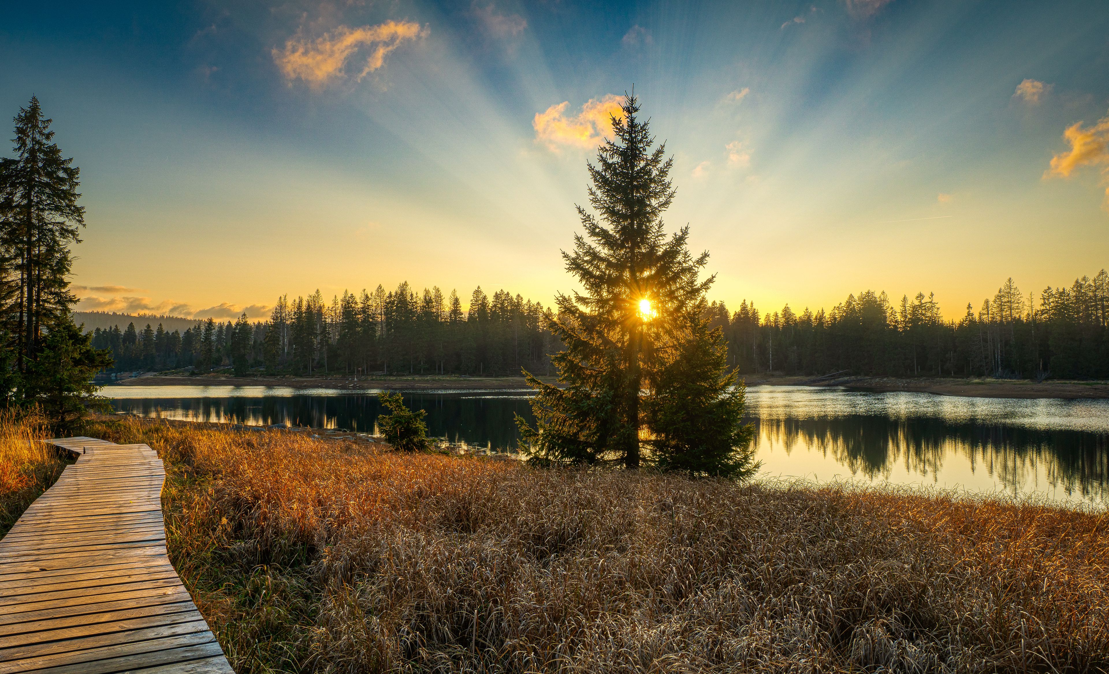 Sonnenuntergang im Harz