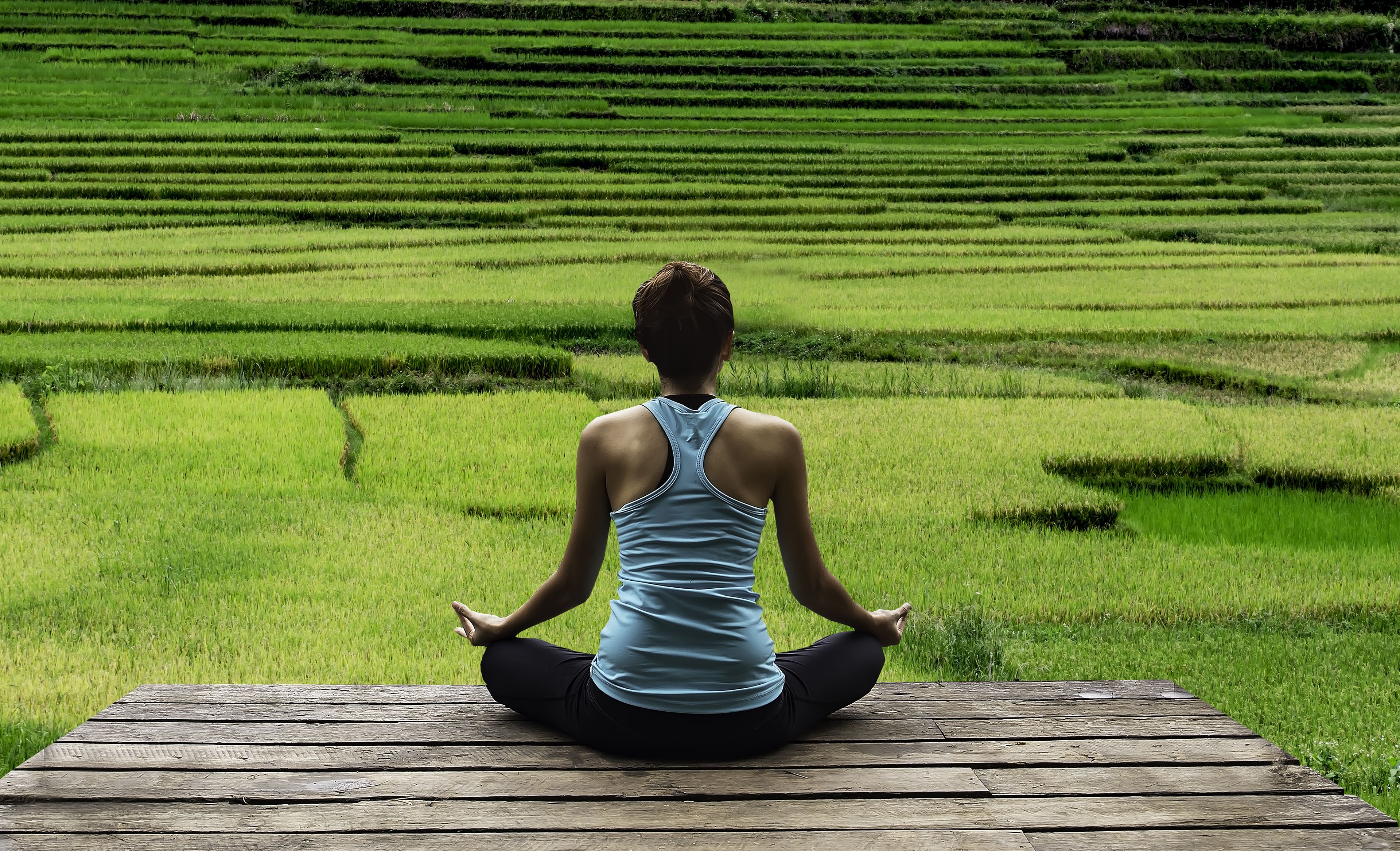 Eine Frau am meditieren am Rande eines Reisfeldes