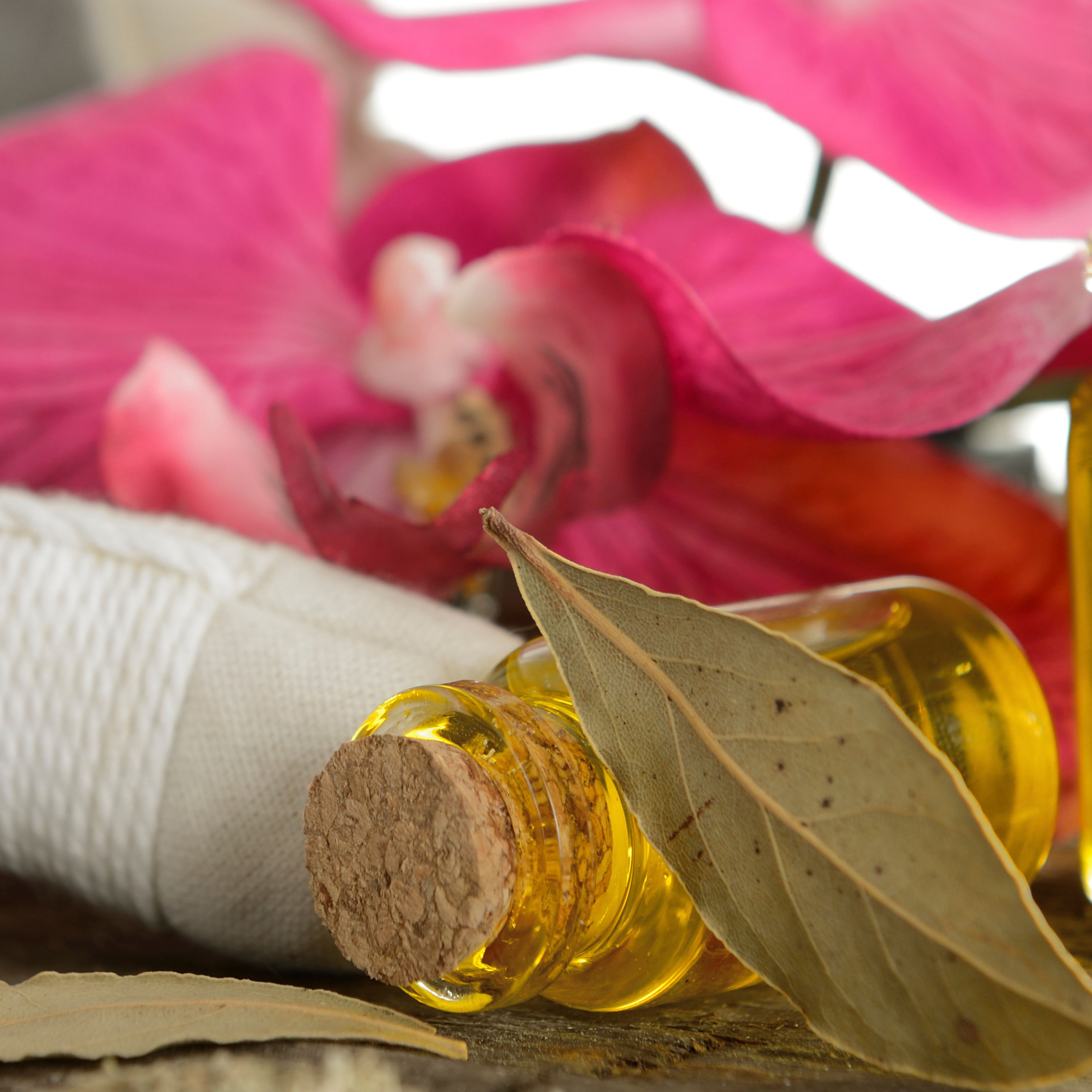 Ayurveda Kuren Fernöstliche Heilkunst fürs Wohlbefinden