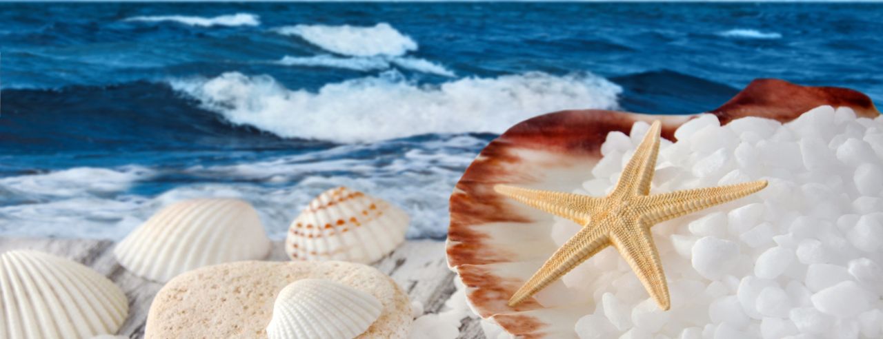 Thalasso: Definition, Anwendung & Ursprung bei Fit Reisen
