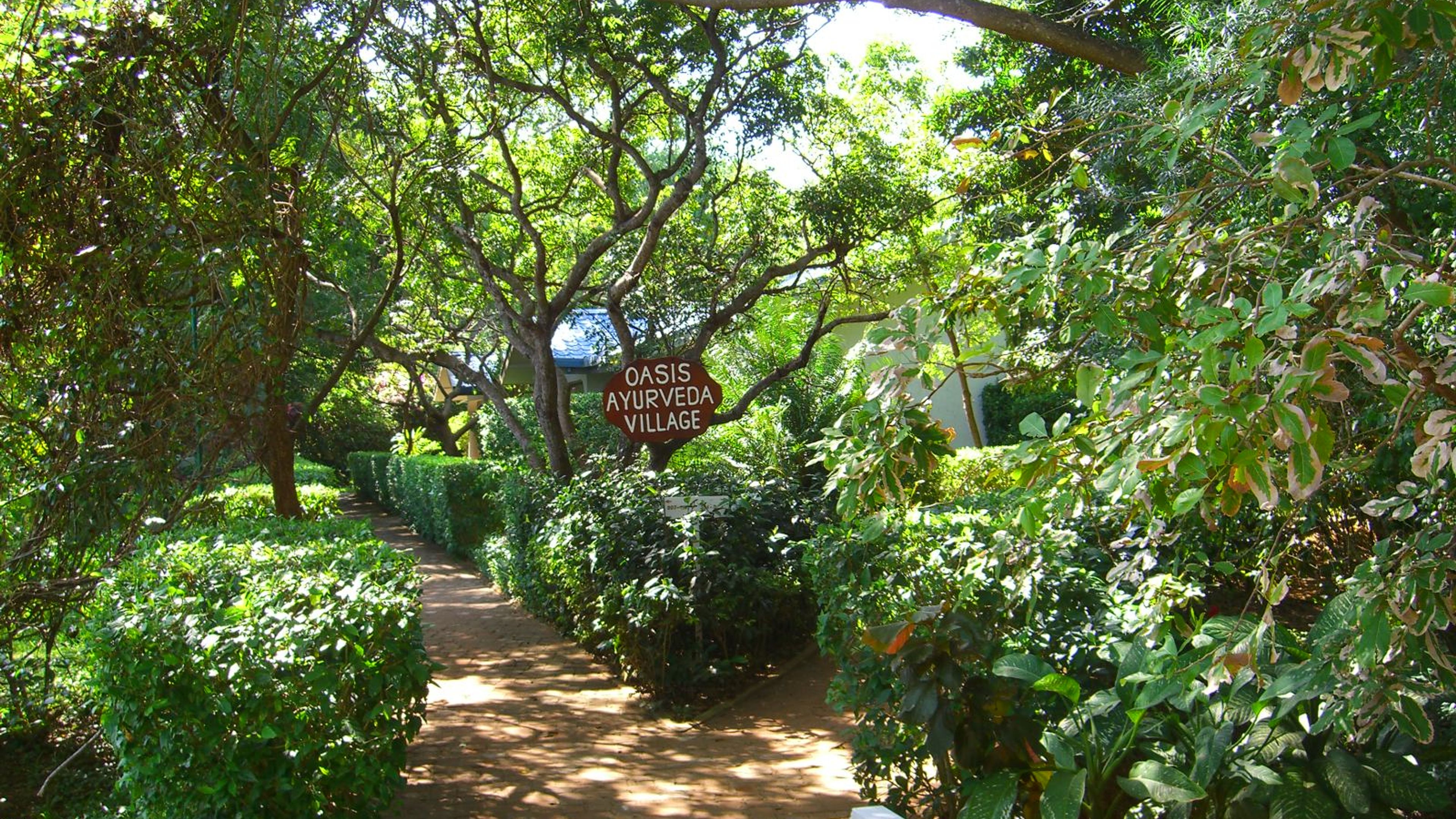 Oasis Ayurveda Beach Resort