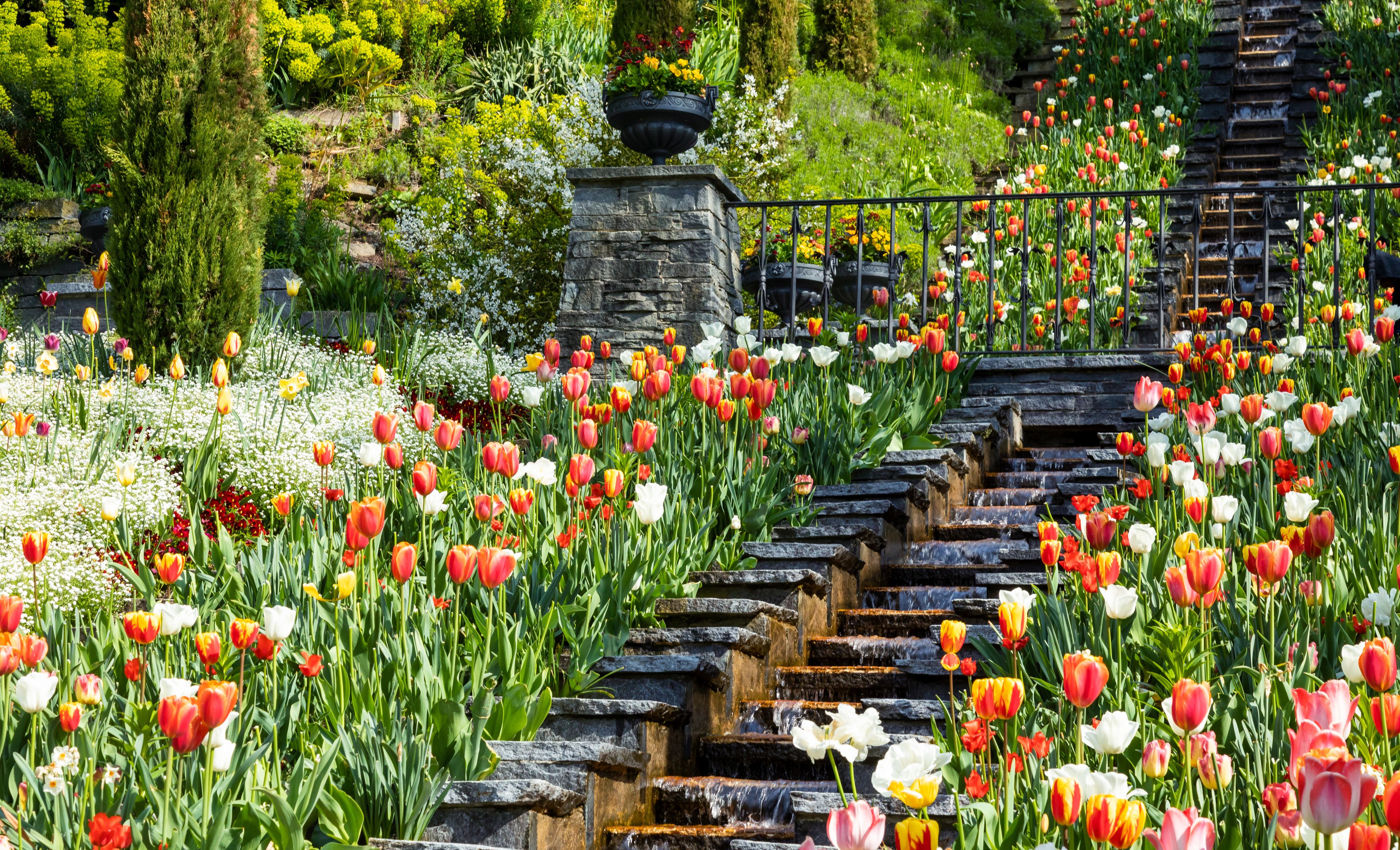 Insel Mainau