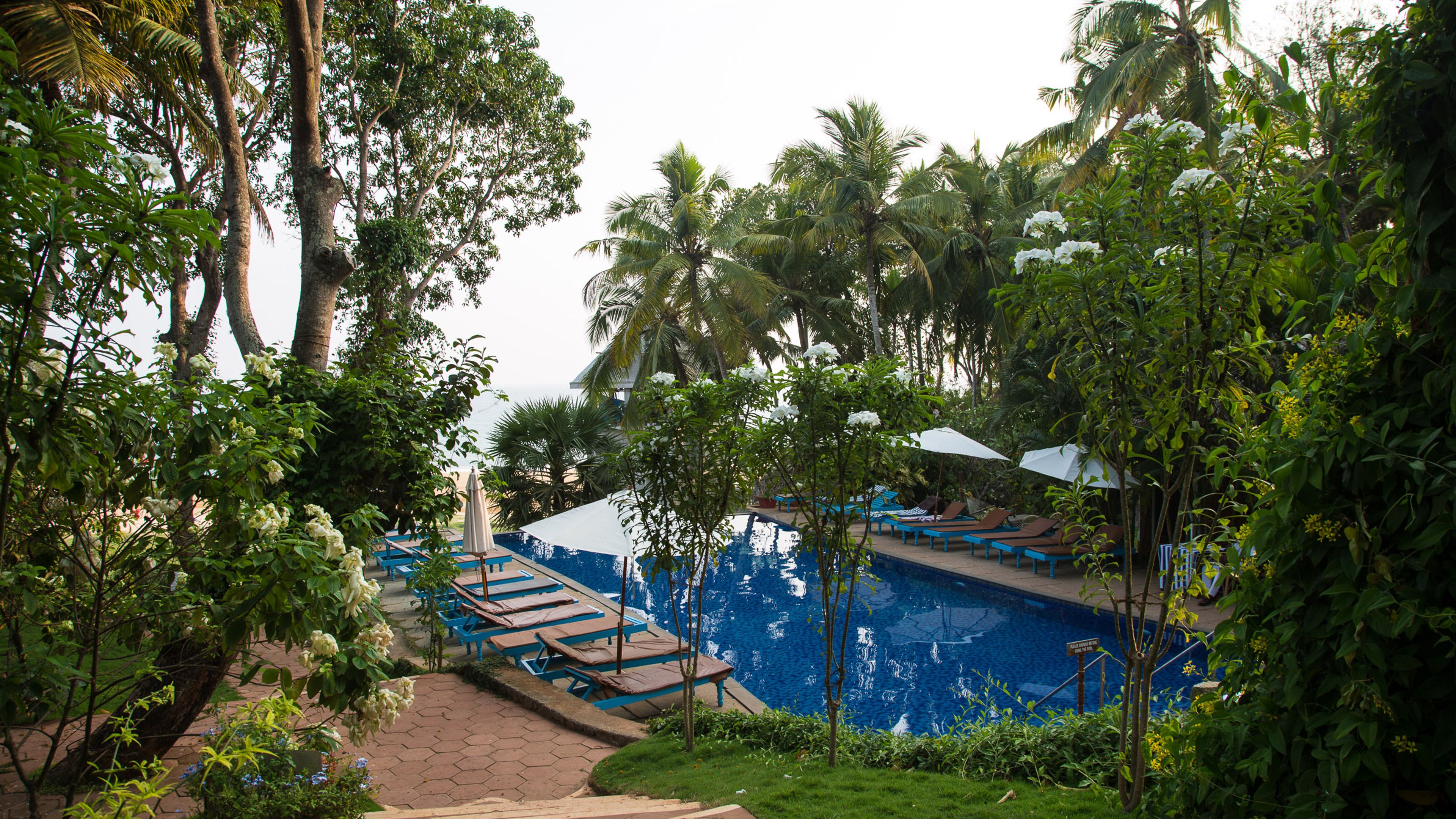 Ayurveda in Kerala Ayurveda & yoga retreats met SpaDreams